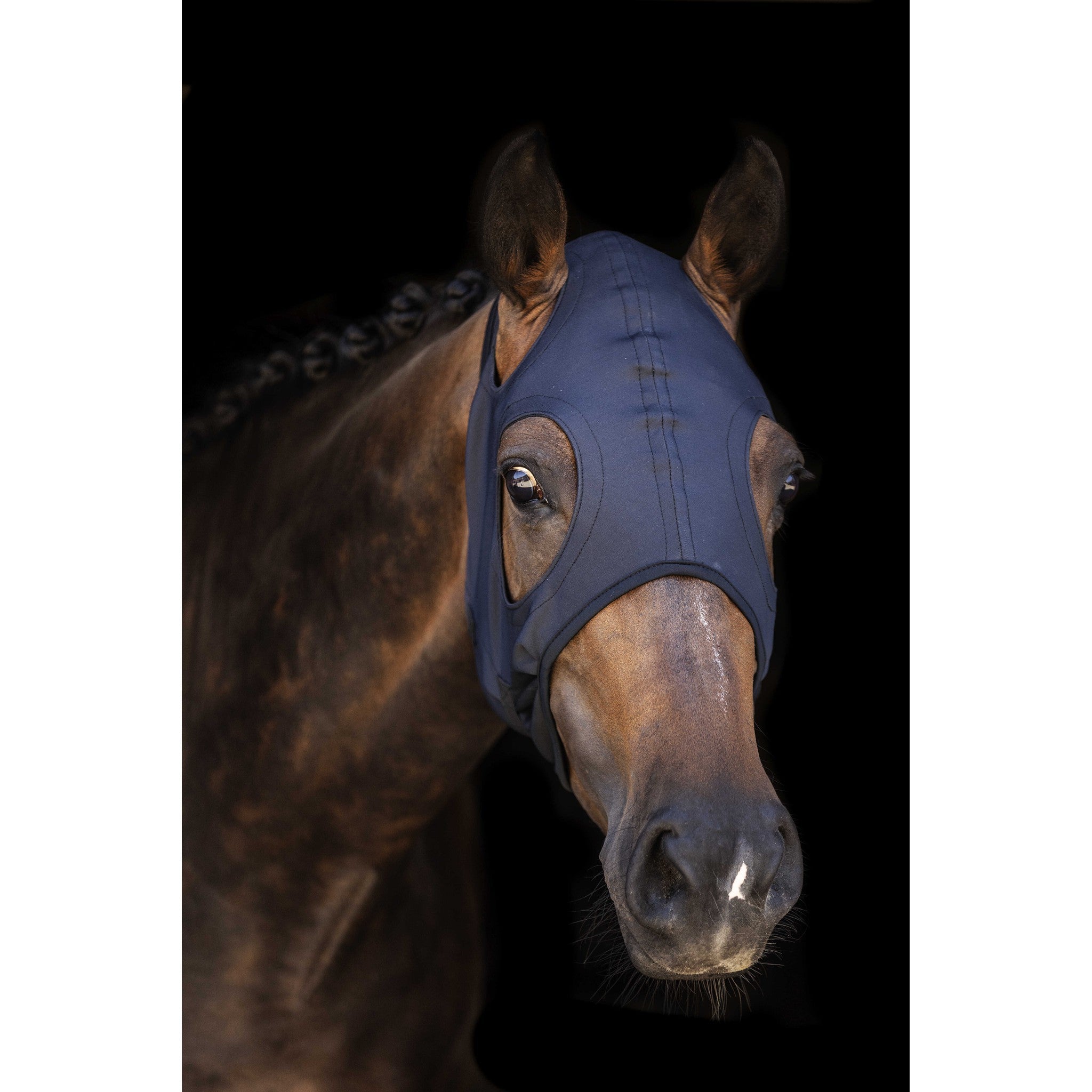 Lami-Cell Titanium Fly mask Black 320028202