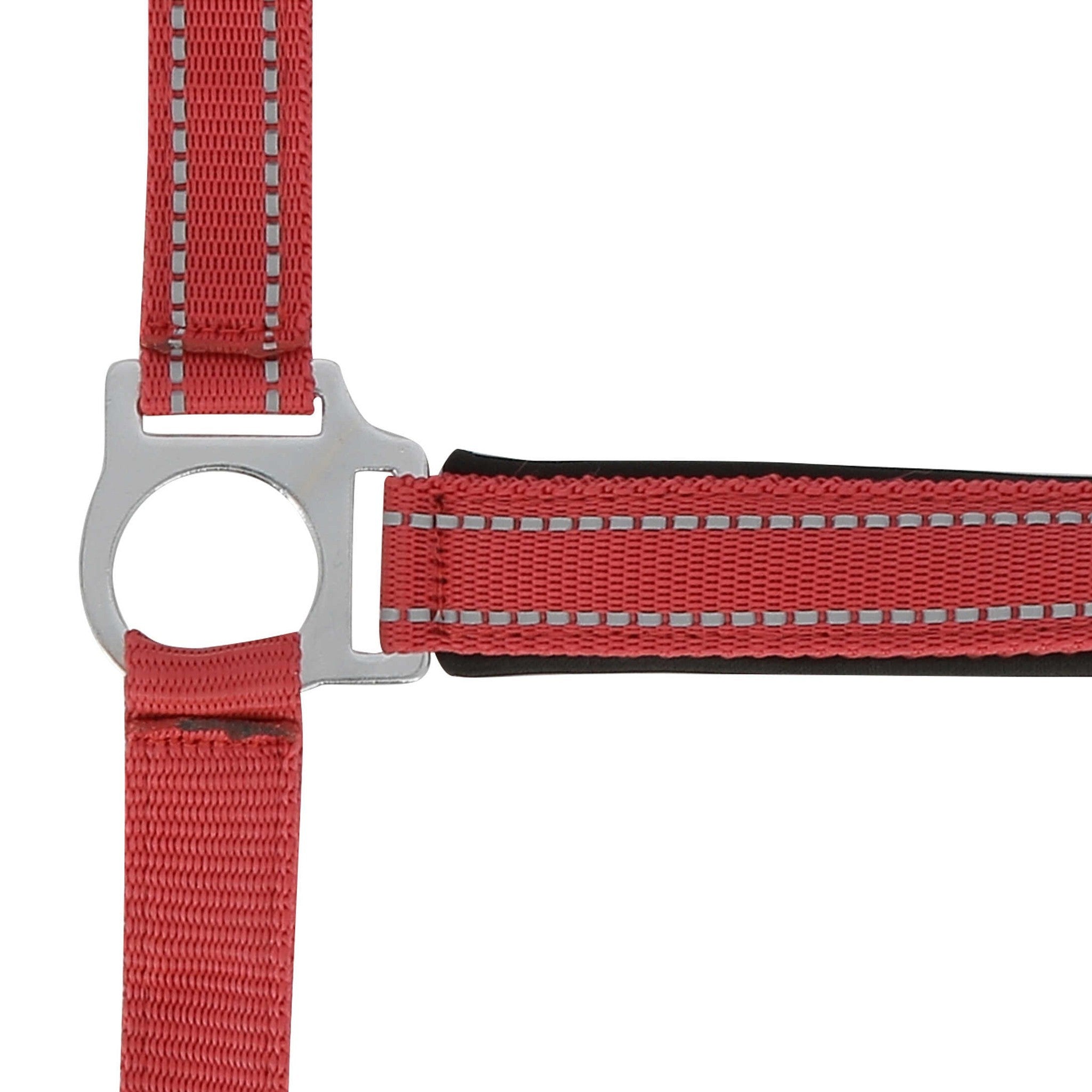 Norton Reflective halter Red 510630303