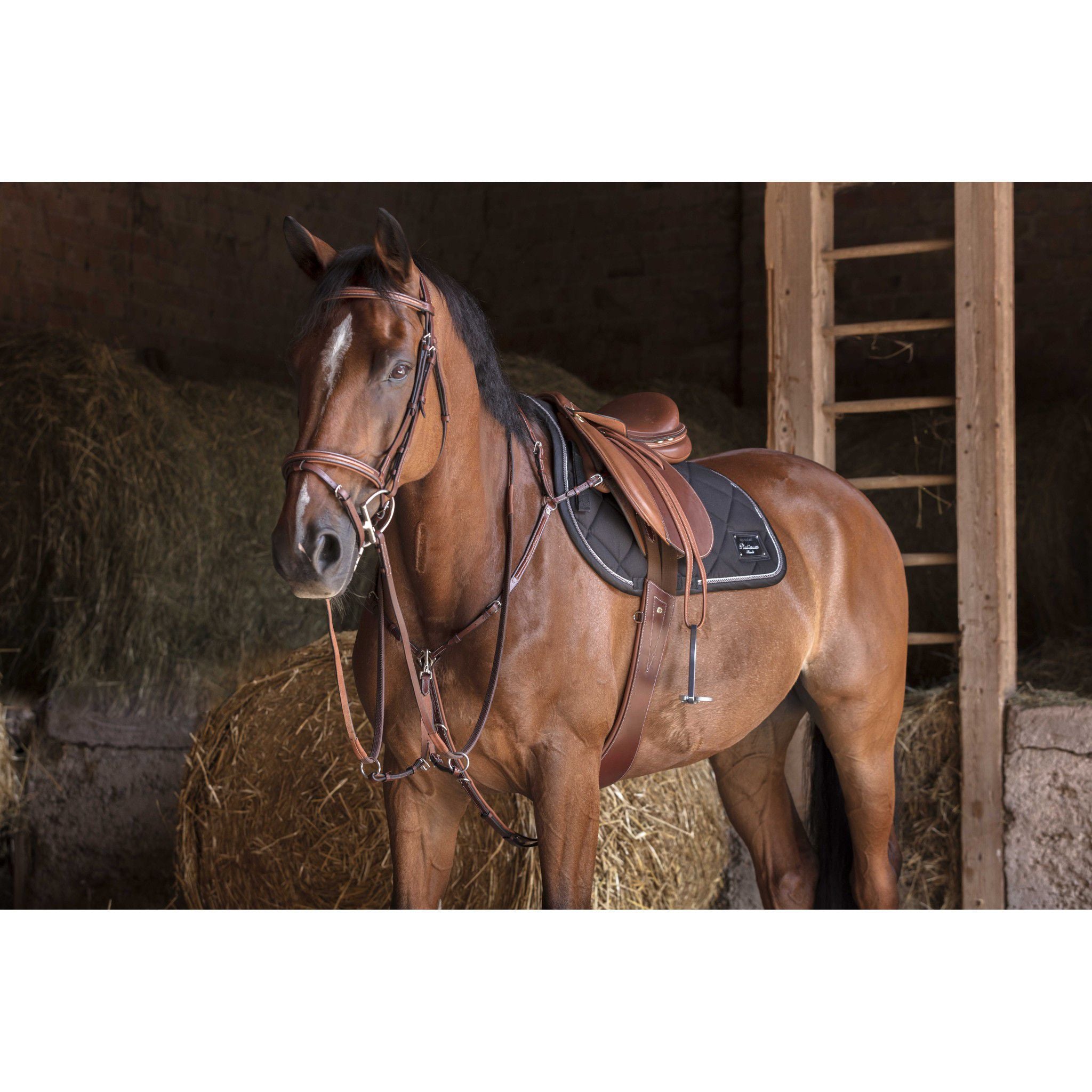 Eric Thomas Fitter Stirrup leathers Chestnut 202058537