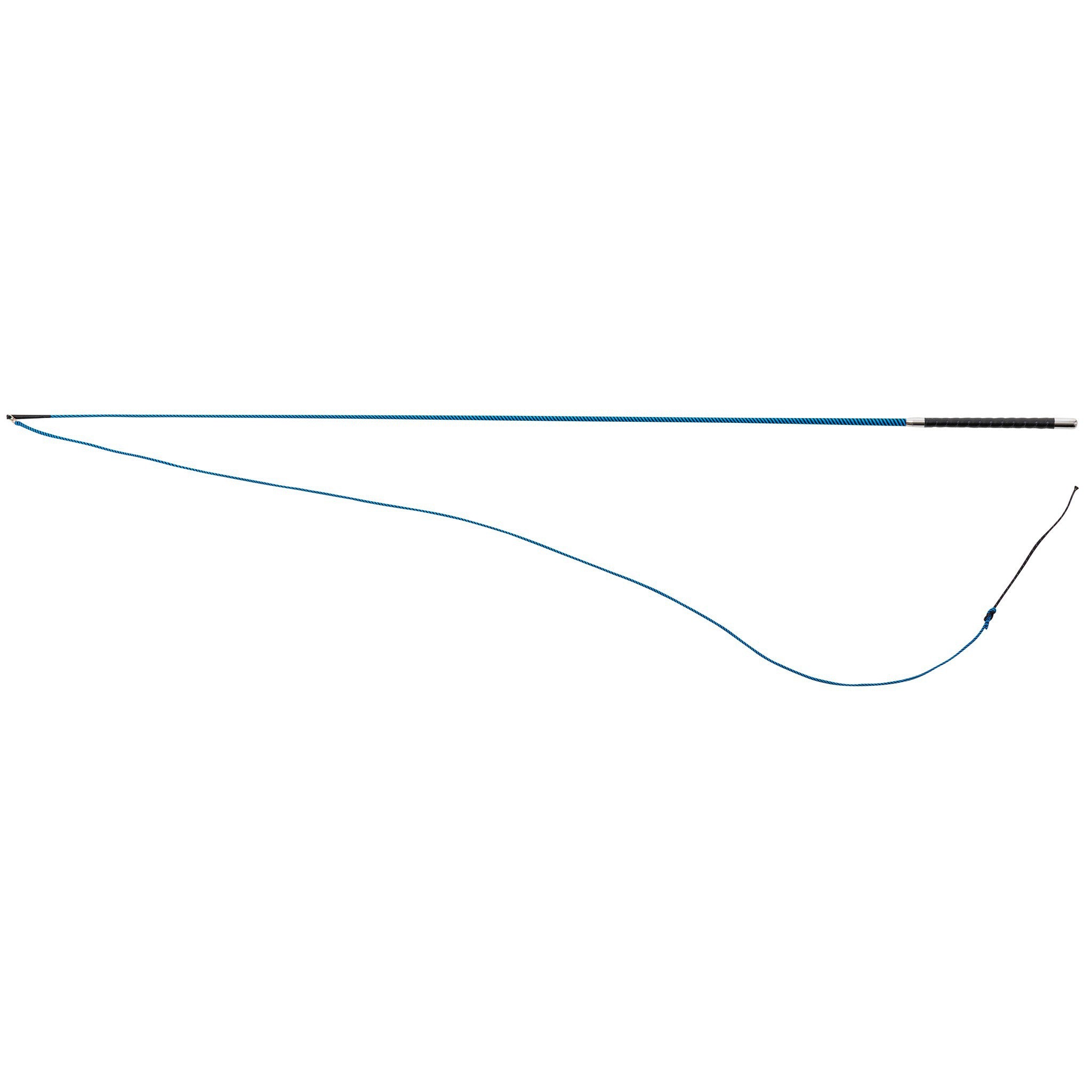 WHIP & GO - Tourillon - Lunge Whip Black/turquoise 953401002