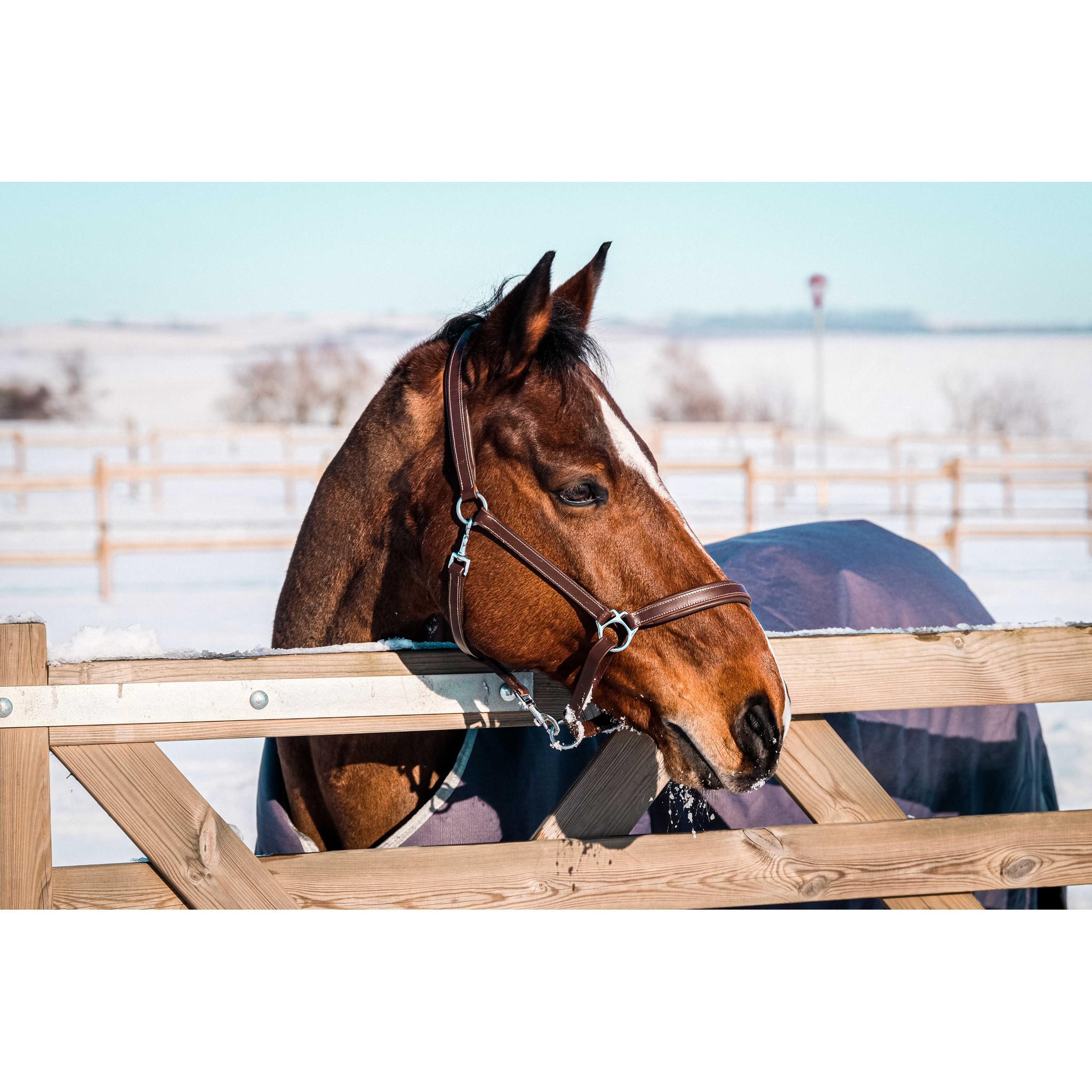 EQUITHÈME Tyrex 1200D Recycled turnout Rug - Standard Taupe 400759063