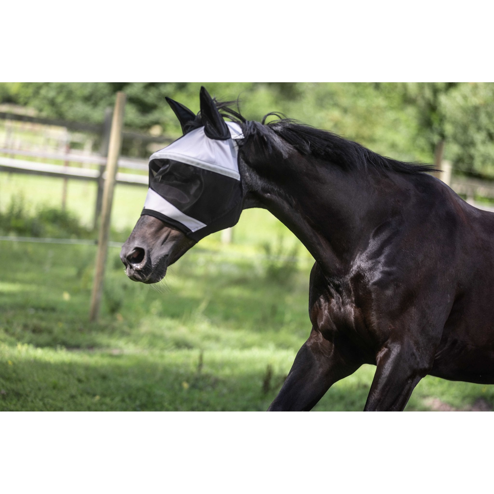 LAMI-CELL Easyfit Fly Mask Grey - 306048311_ambi_4
