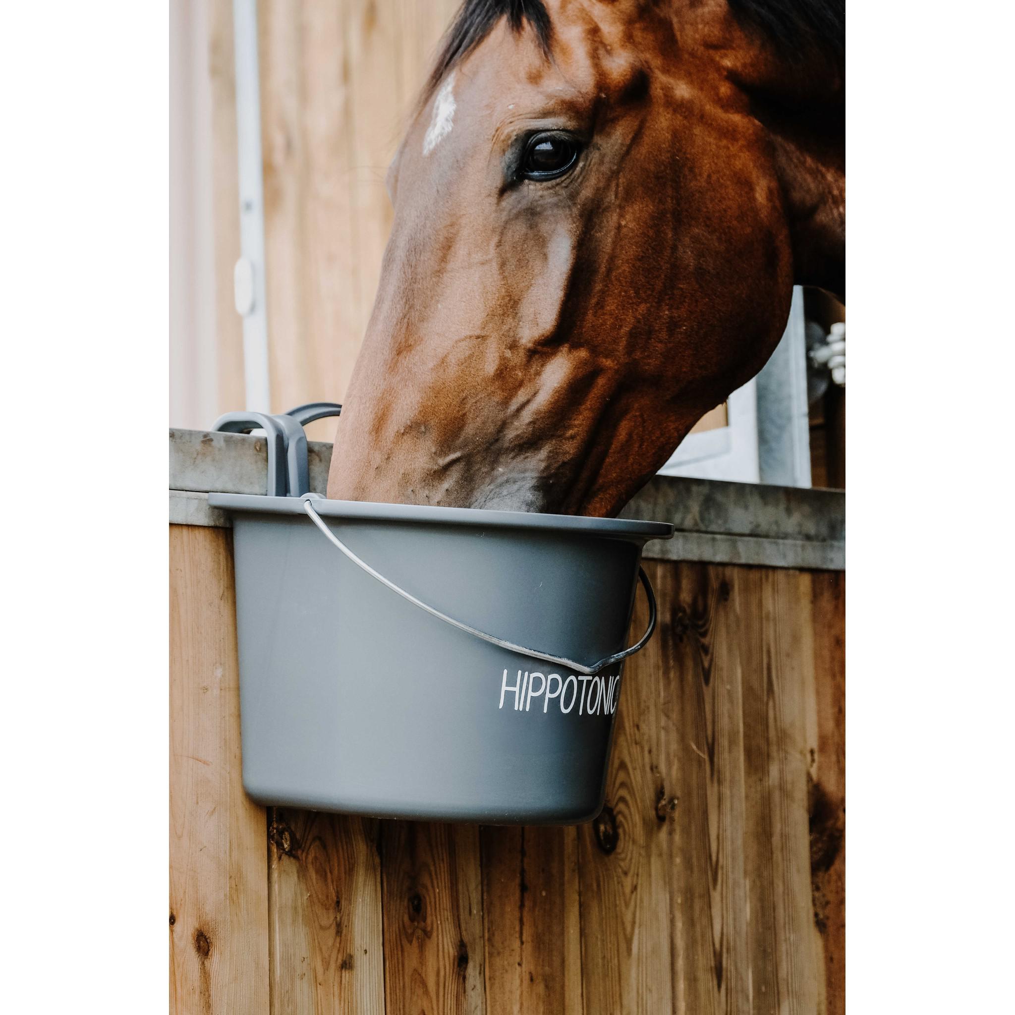 Hippo-Tonic Feeder with Hooks and Handle Dark grey 704199031