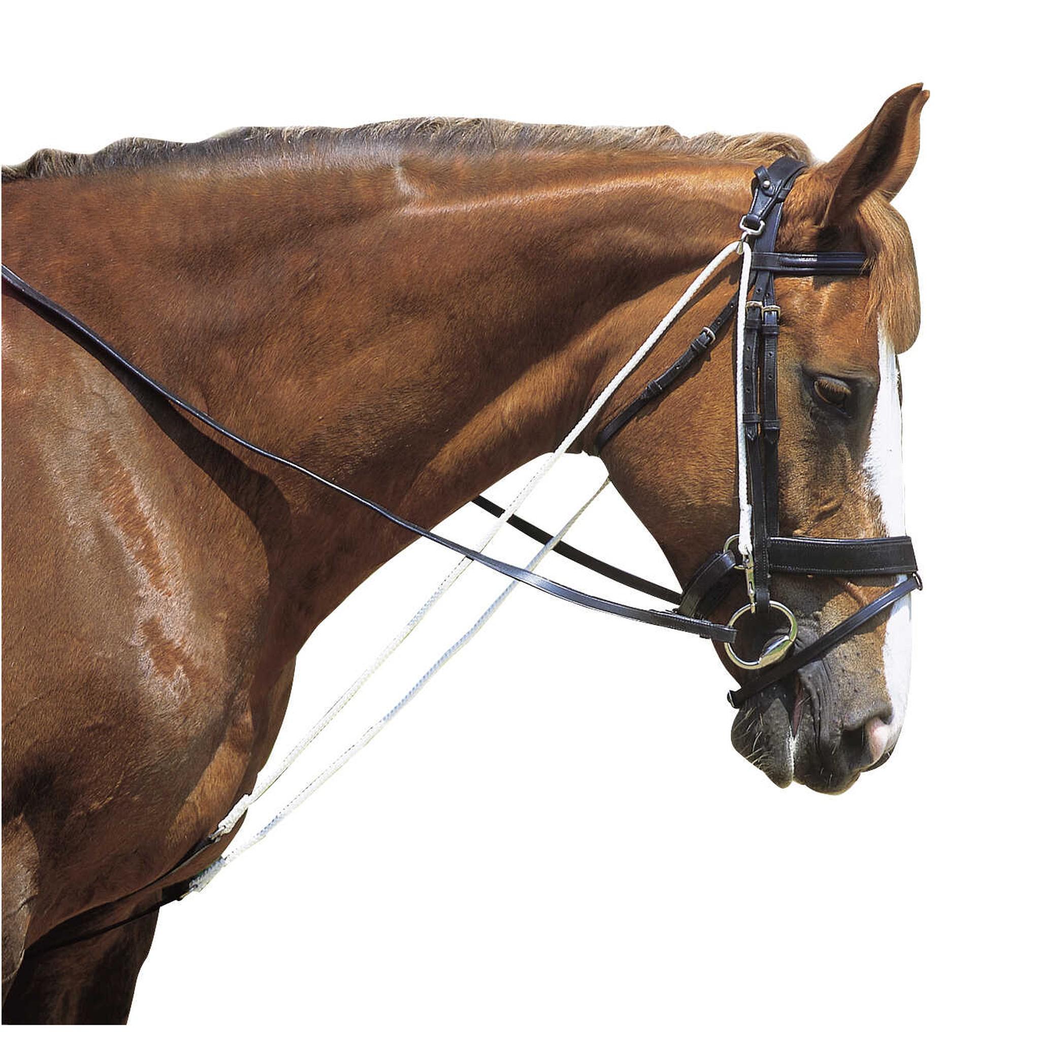 Norton Club Chambon with pulleys Black 306398002