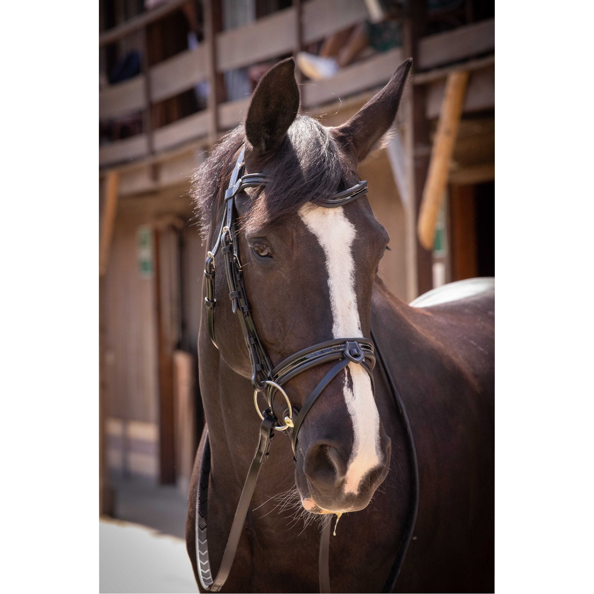 Penelope Smoothie Pearl Bridle Black - 301604302_ambi_1