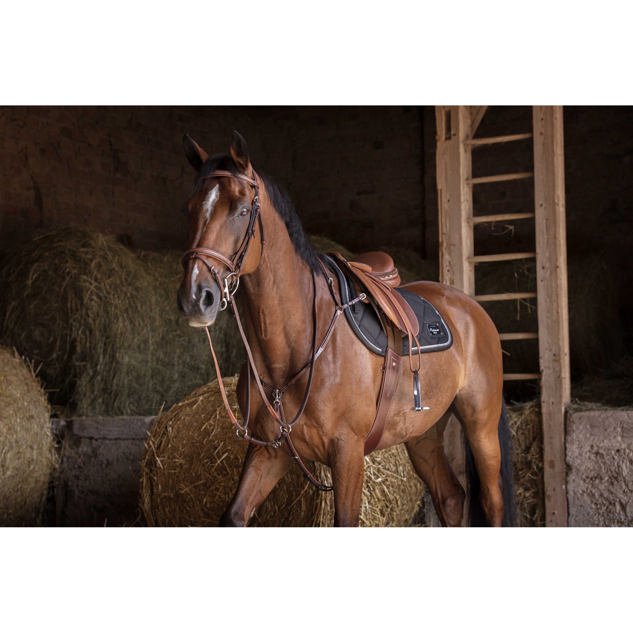 Eric Thomas Fitter Stirrup leathers Chestnut 202058537