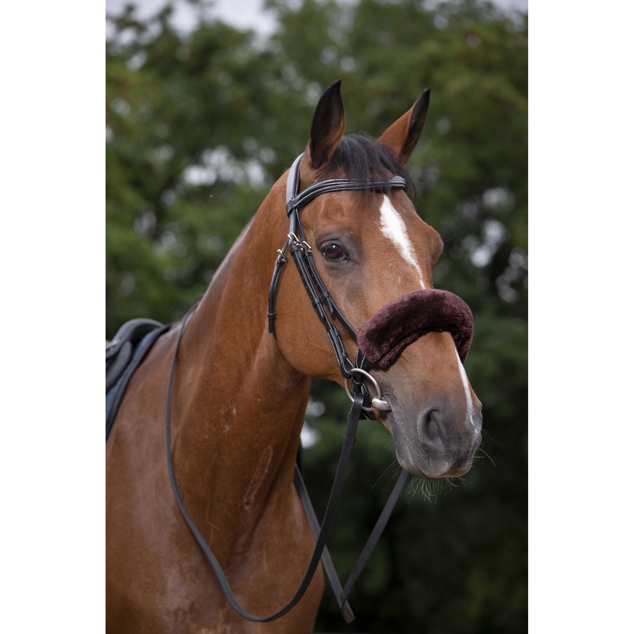 EQUITHÈME Teddy noseband sleeve Brown 207501304