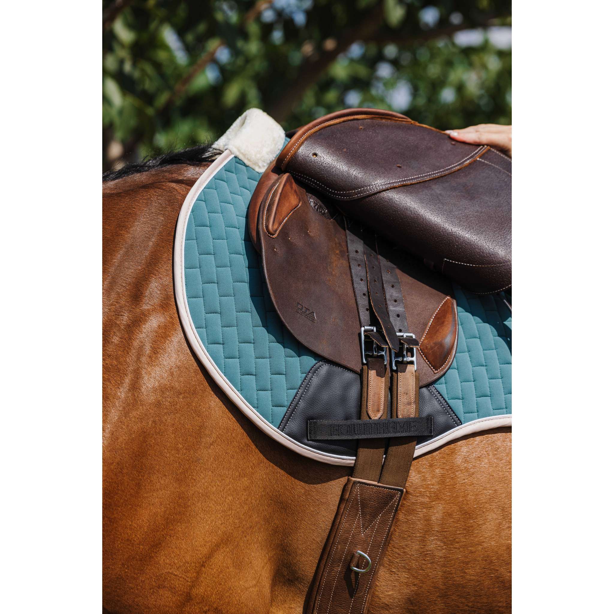 EQUITHÈME Dinard Saddle Pad - All purpose Green 204007009