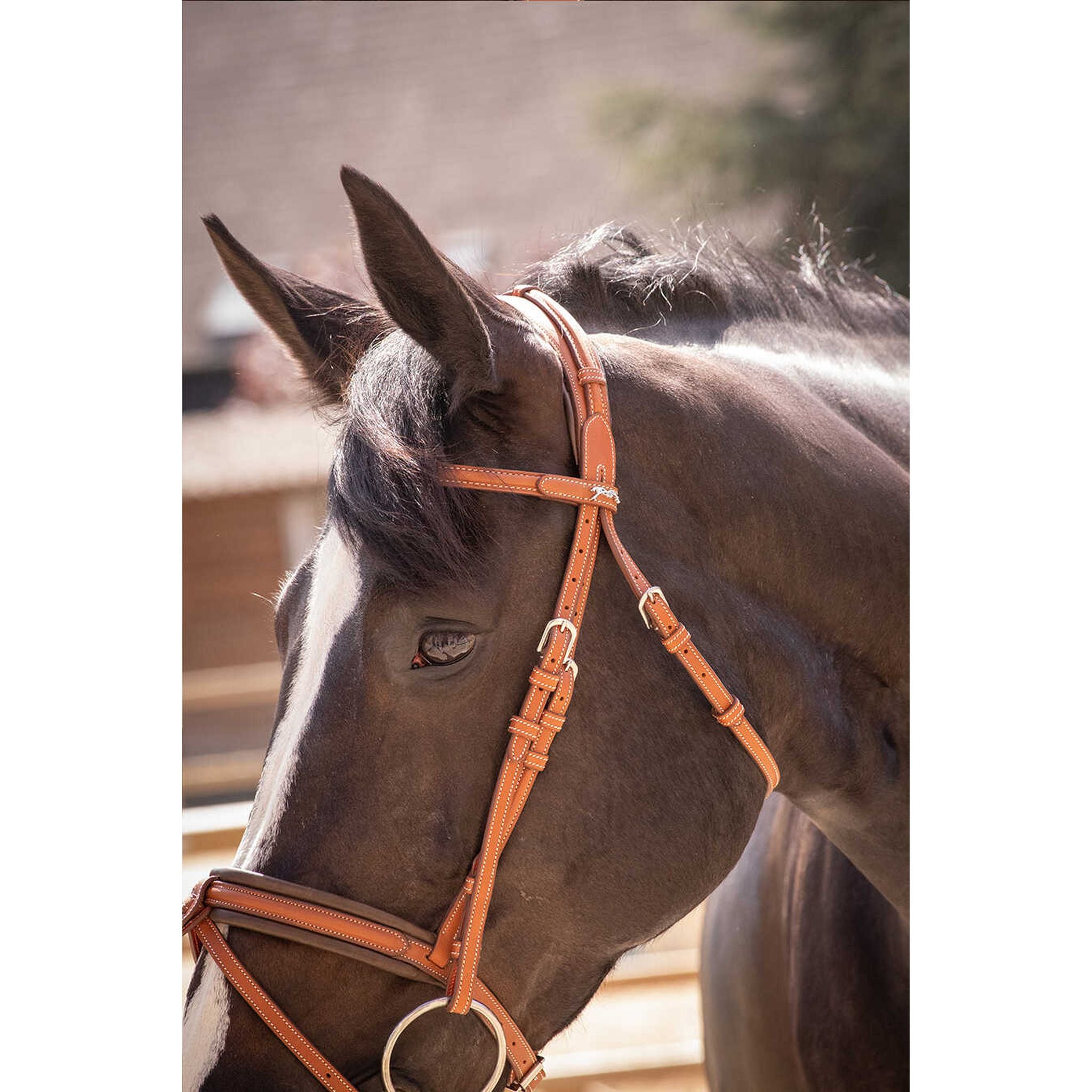 Penelope Elegance Bridle Cognac - 301605314_ambi_11