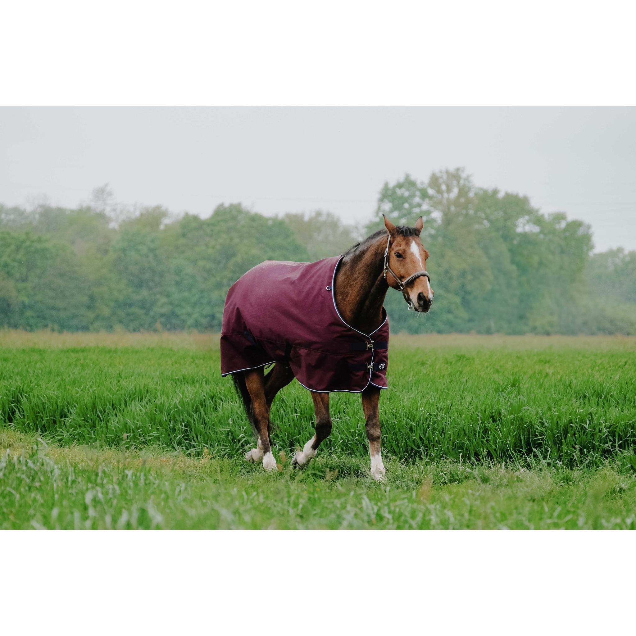 EQUITHÈME Tyrex 1200D Turnout rug Reflec - Standard Burgundy 400928363