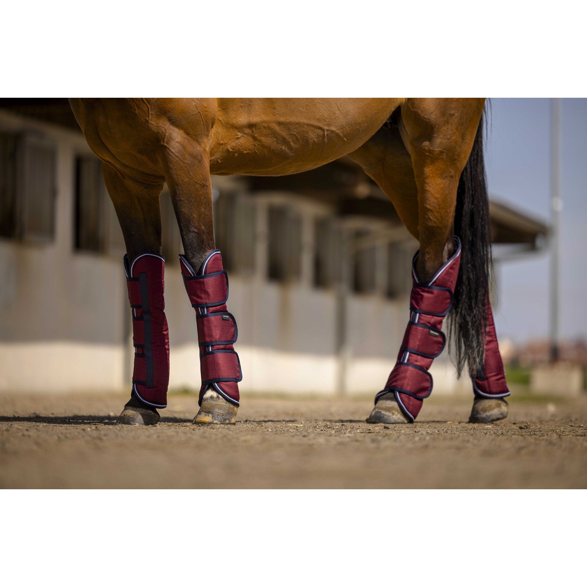 EQUITHÈME Tyrex 1200D Shipping boots Burgundy 402085033