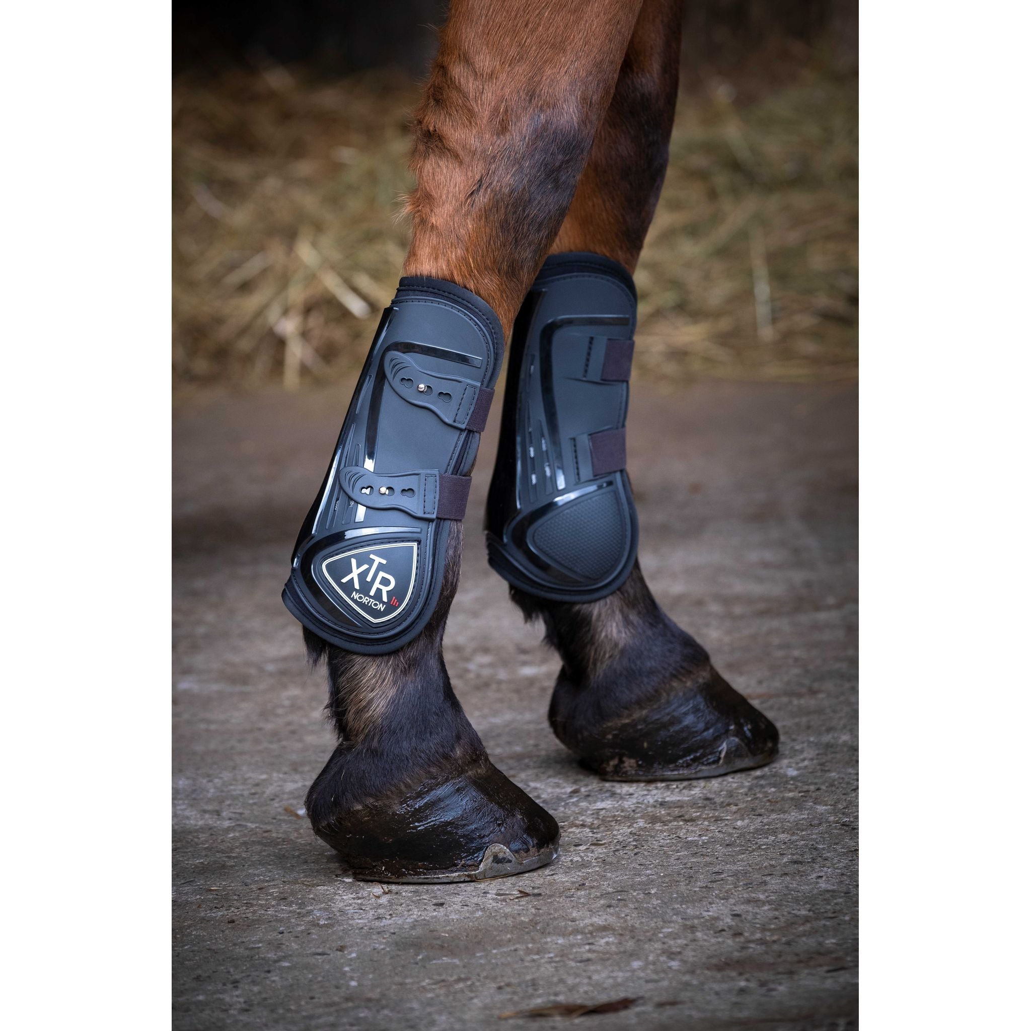 Norton XTR Brushing Boots with Buttons - Black - 530662023_ambi_1