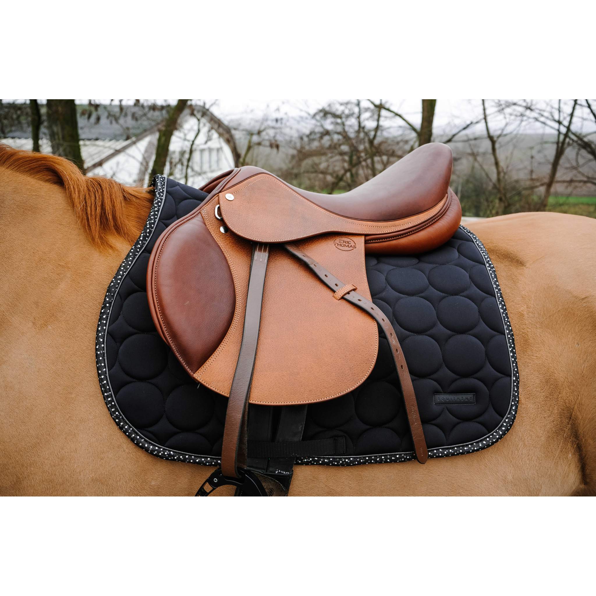 EQUITHÈME Disco All-Purpose Saddle Pad Black - 204018002_ambi_1