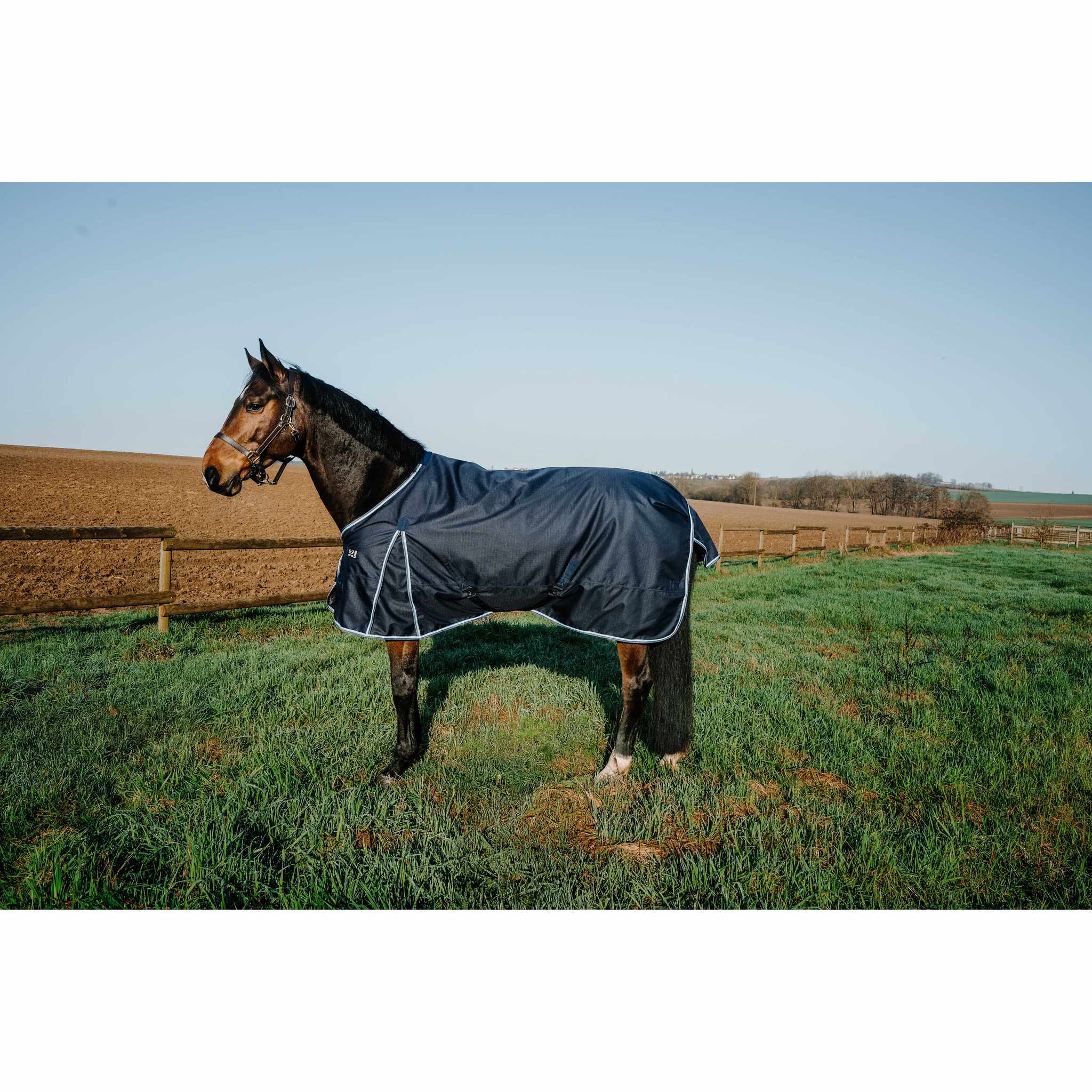 FIRST Outdoor Blanket - RIDING WORLD Navy blue - 400974070_ambi_2