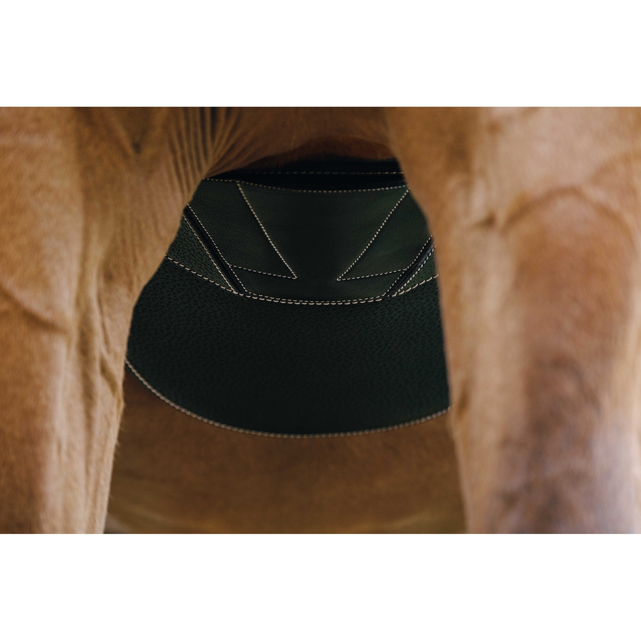 Norton Magnet Belly protector girth Black 203146215