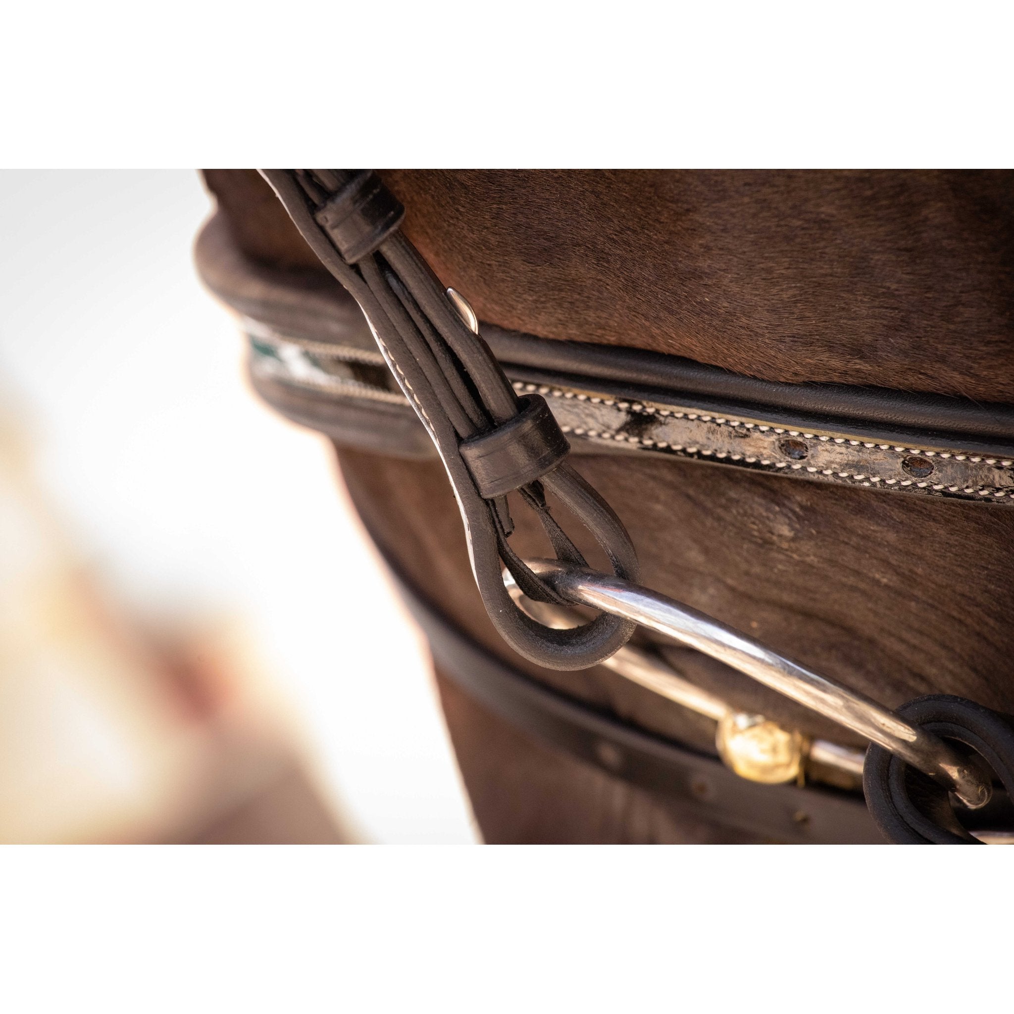 Penelope Smoothie Pearl Bridle Black - 301604302_ambi_10