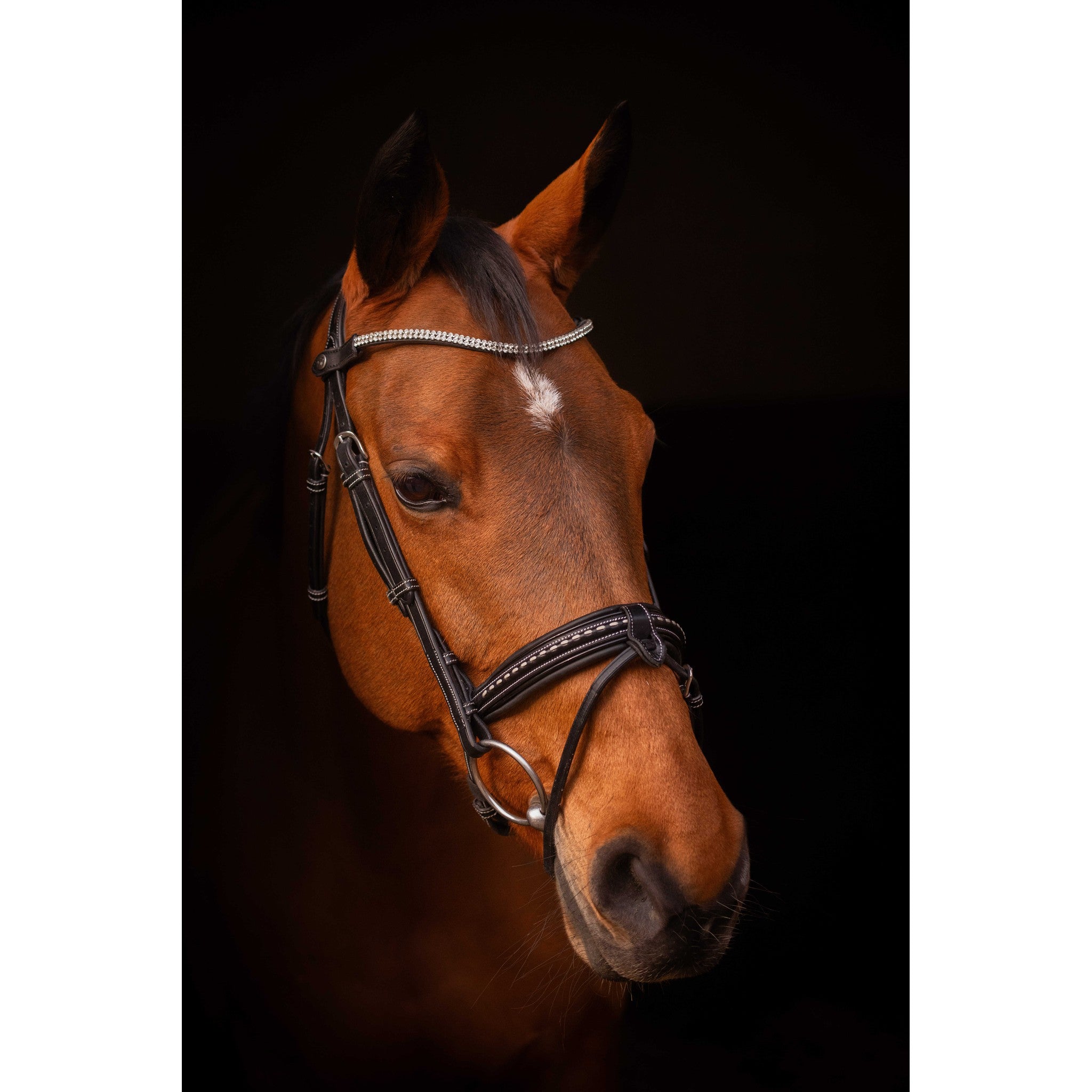PENELOPE ASTRÉE Browband Black - 304402302_ambi_1