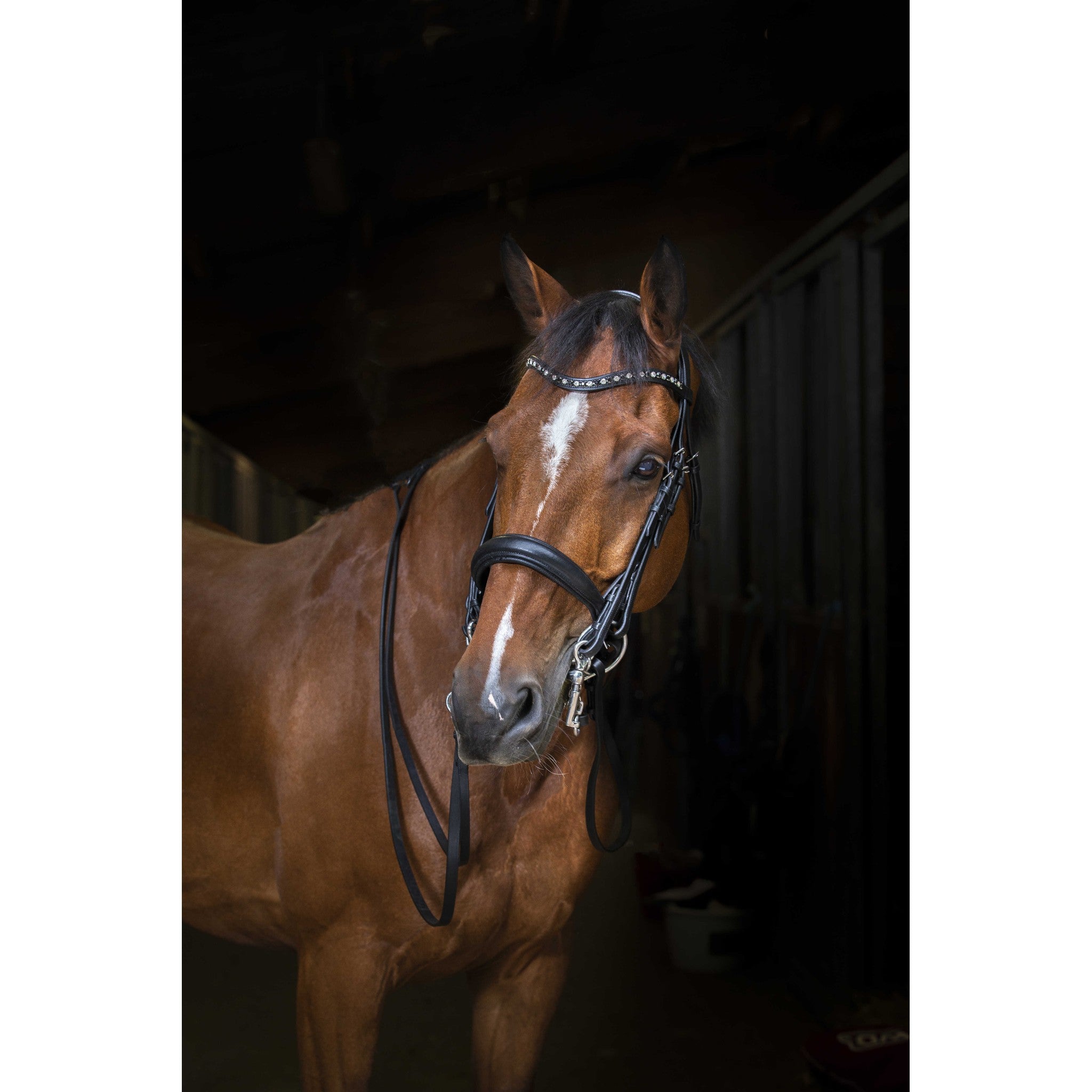 ERIC THOMAS Hybrid Bridle Black - 303045302_ambi_1