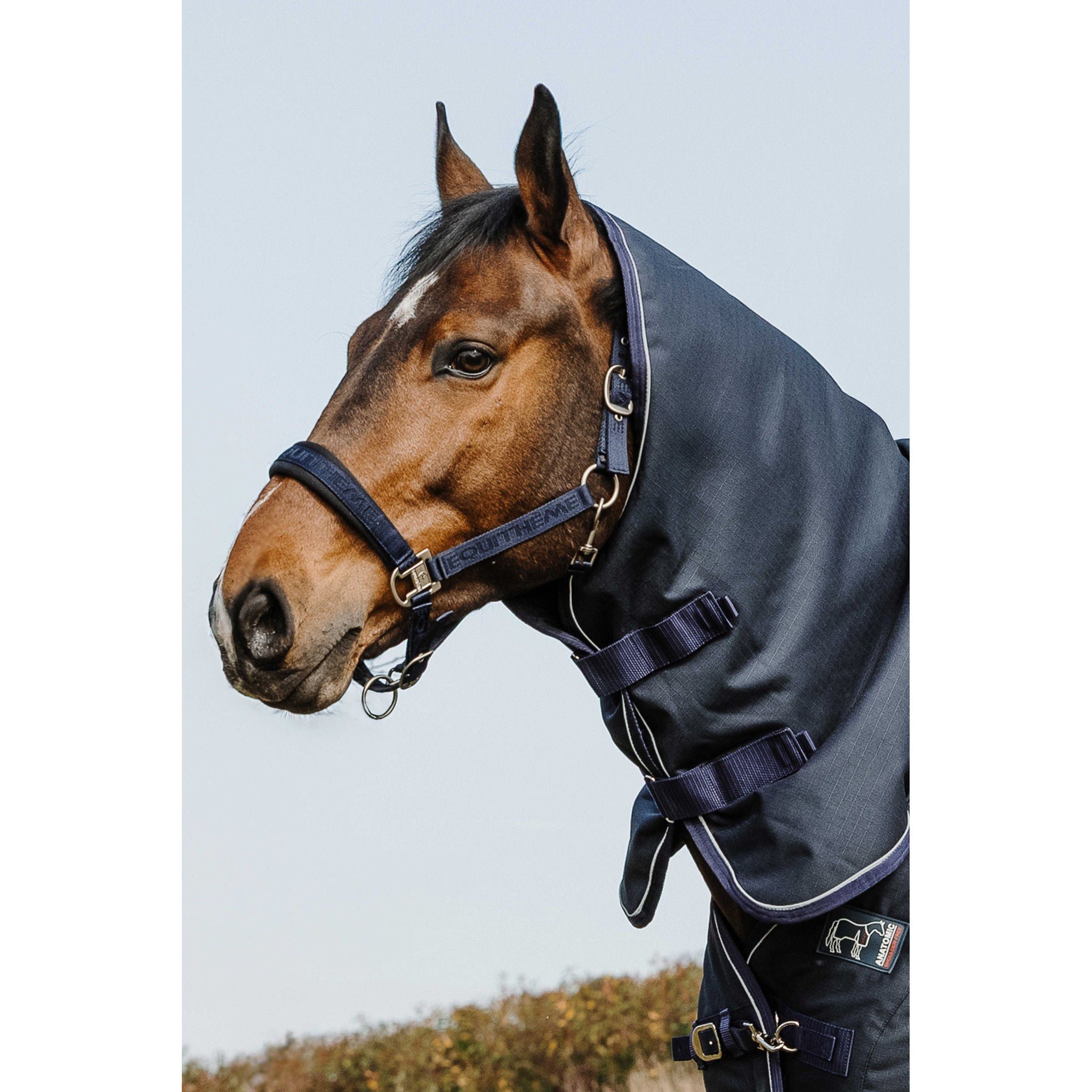 EQUITHÈME Anatomic 1200D Neck Cover Navy blue 400582702