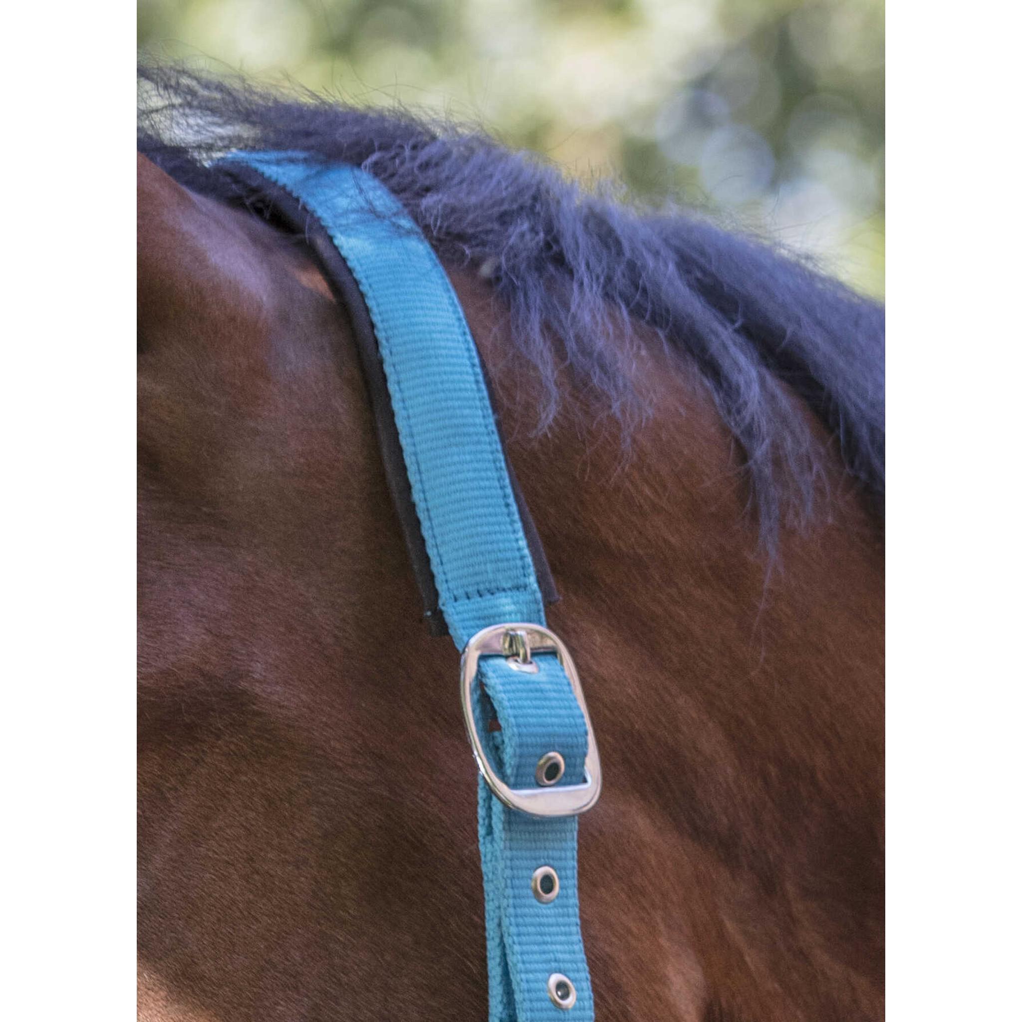 Norton Fluo Lined Halter Blue 510013336