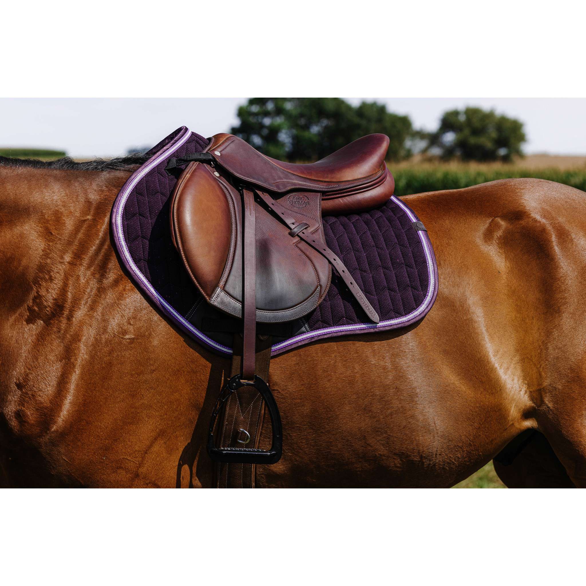 EQUITHÈME Éclat Saddle Pad - All purpose Purple 204008015