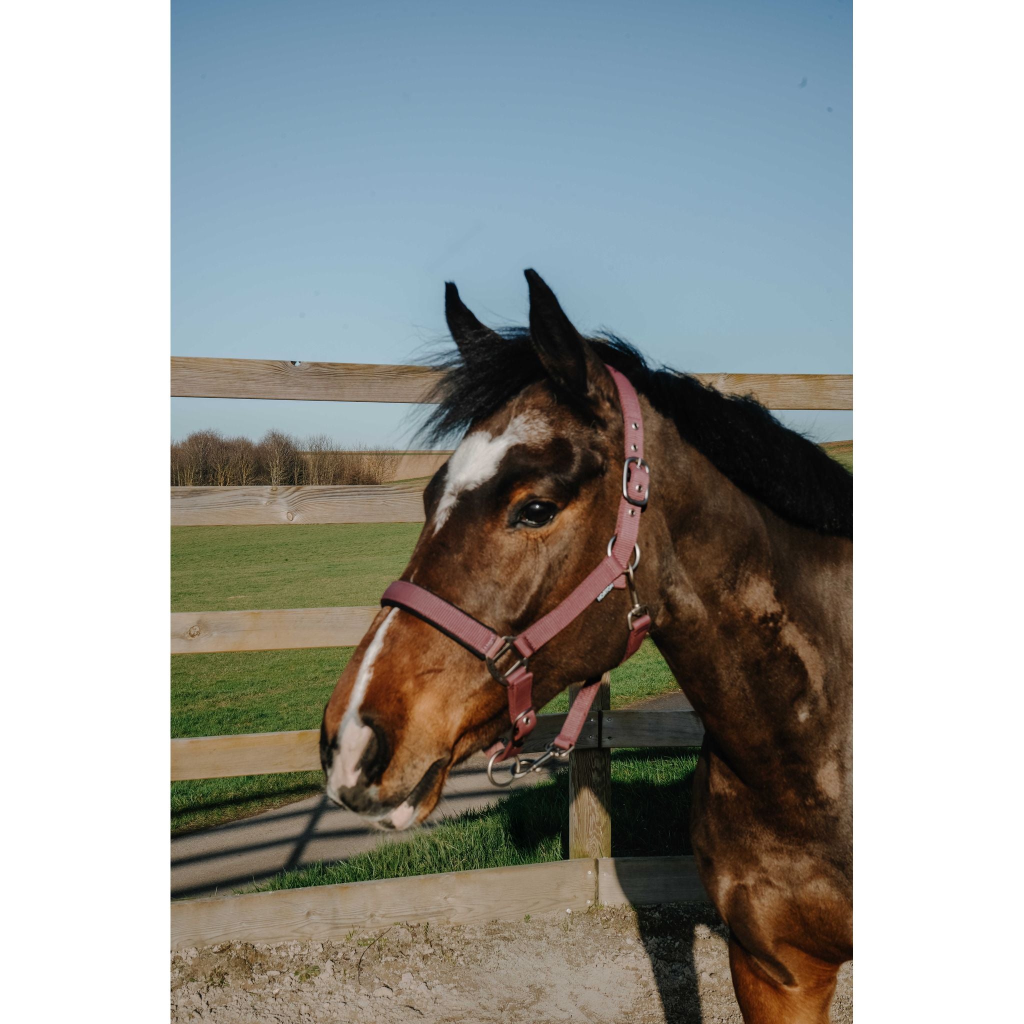 NORTON Pearl Halter Burgundy - 510343333_ambi_1