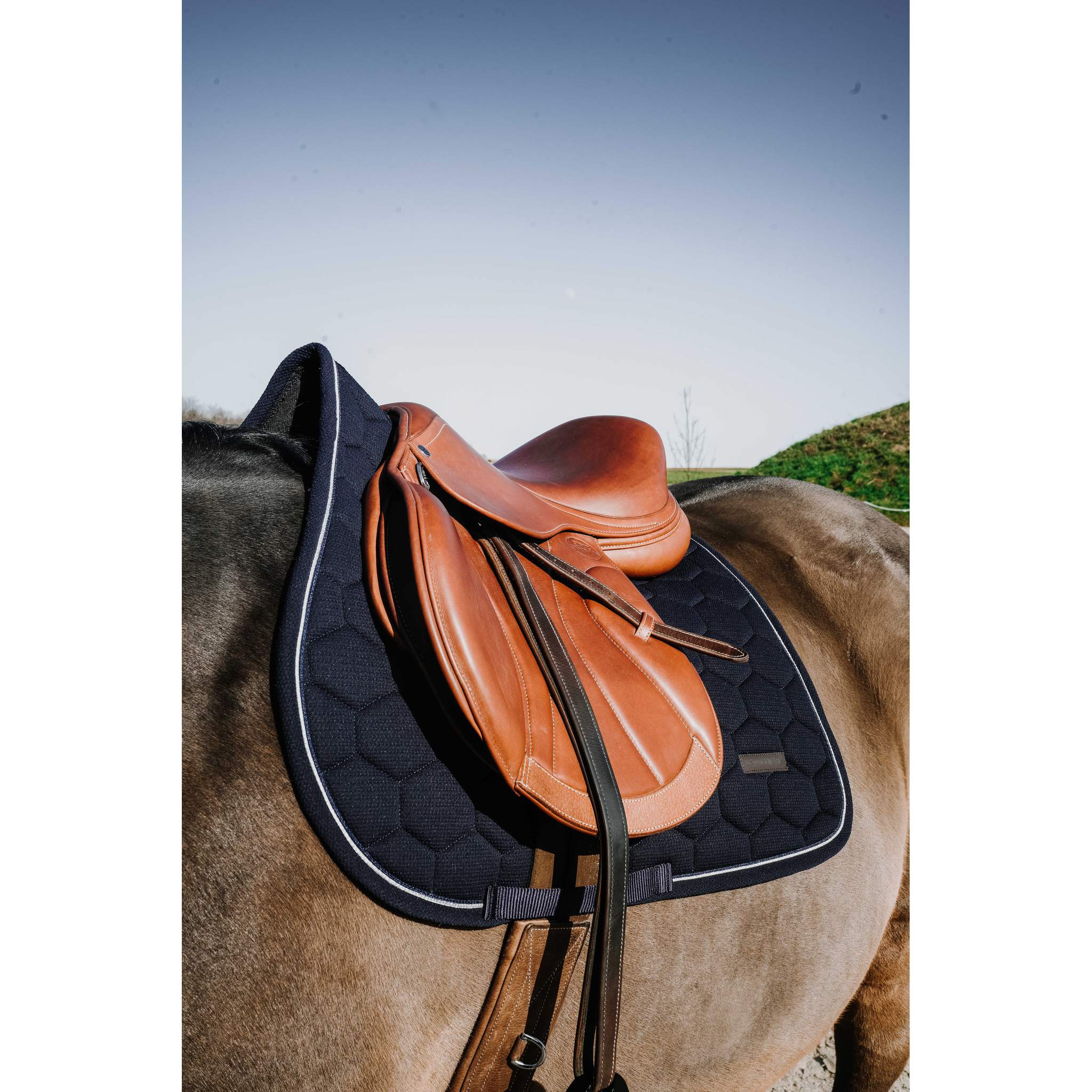 EQUITHÈME All-Purpose Saddle Pad - Honey Navy blue - 204028007_ambi_2