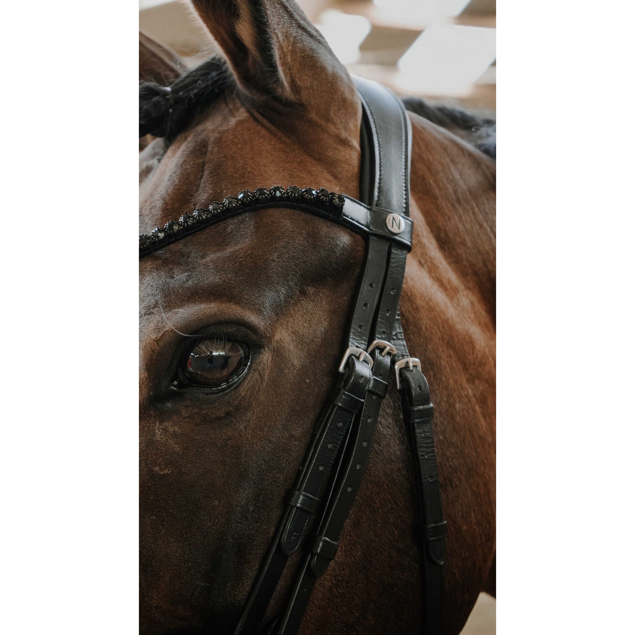 Norton Pro Royal Bridle Black 301842302