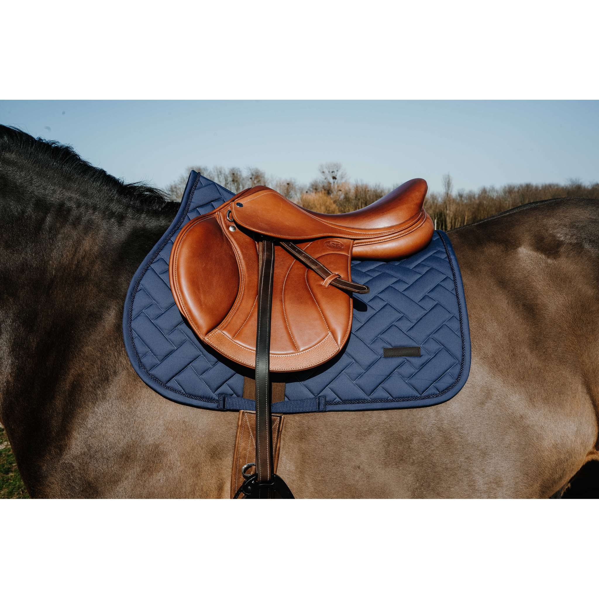 EQUITHÈME Starlet All-Purpose Saddle Pad Navy blue - 204027007_ambi_1