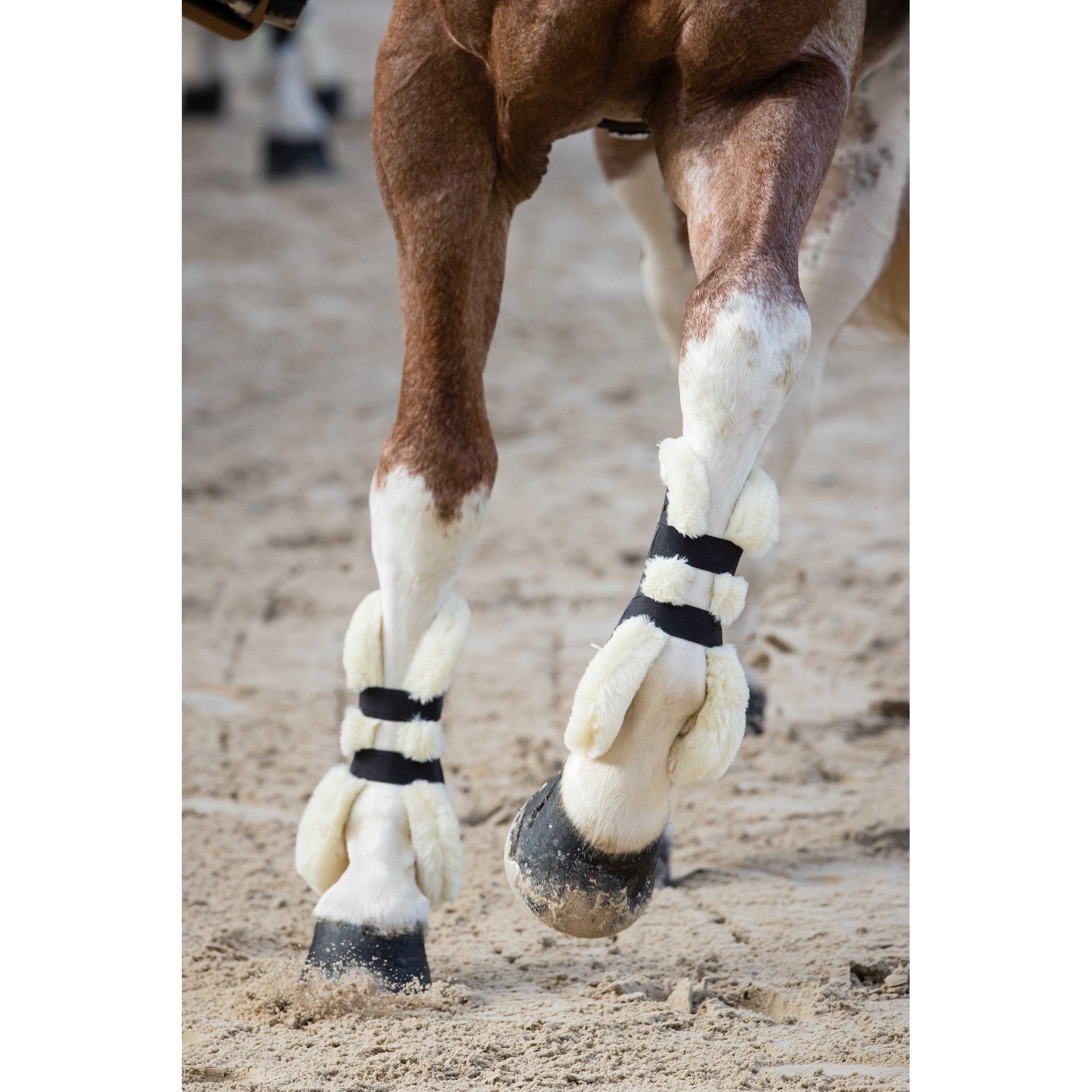 Norton XTR Sheepskin Tendon Boots with Buttons - Navy blue - 530672073_ambi_102