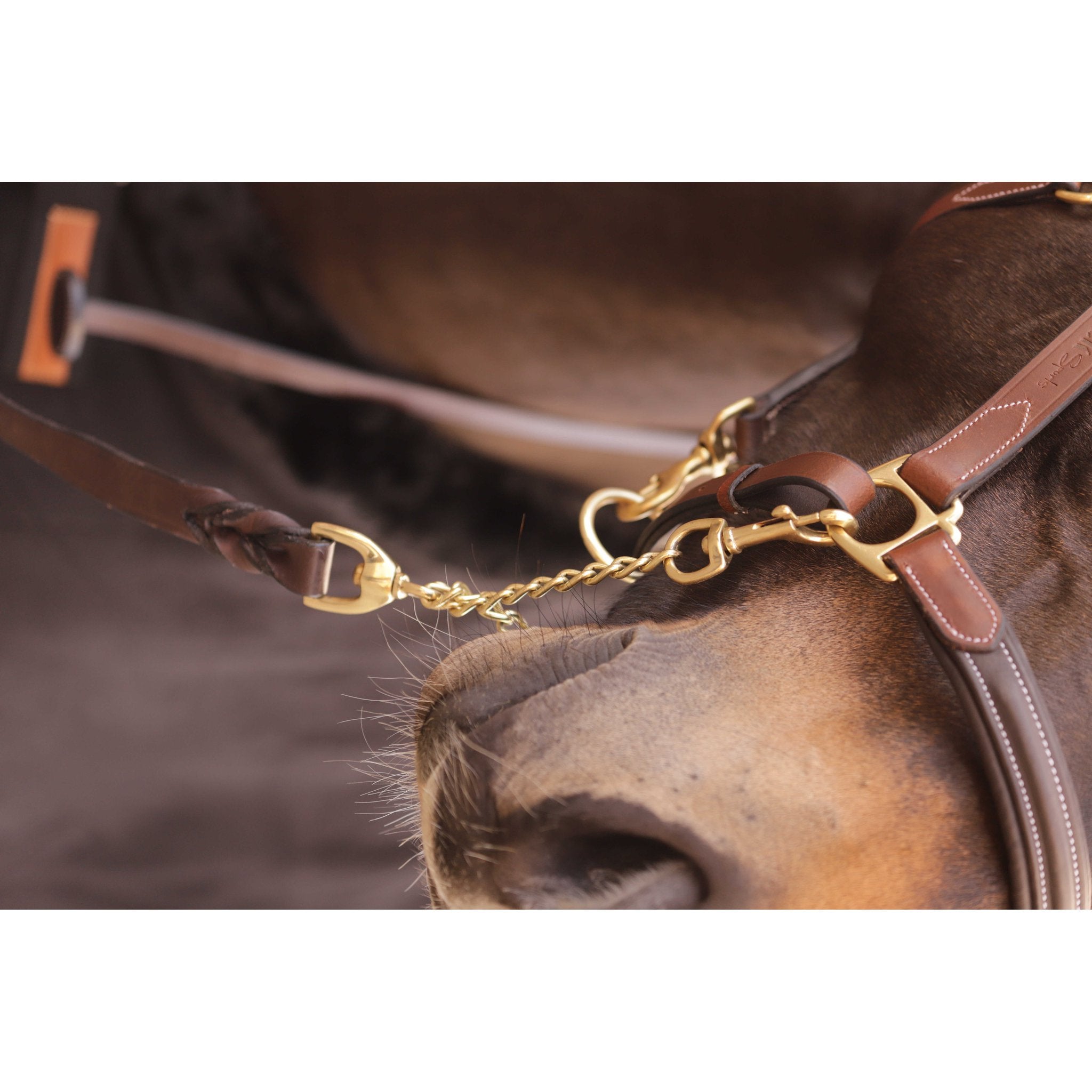 PADDOCK 2.25m Presentation Lead Havana - 520034018_ambi_2