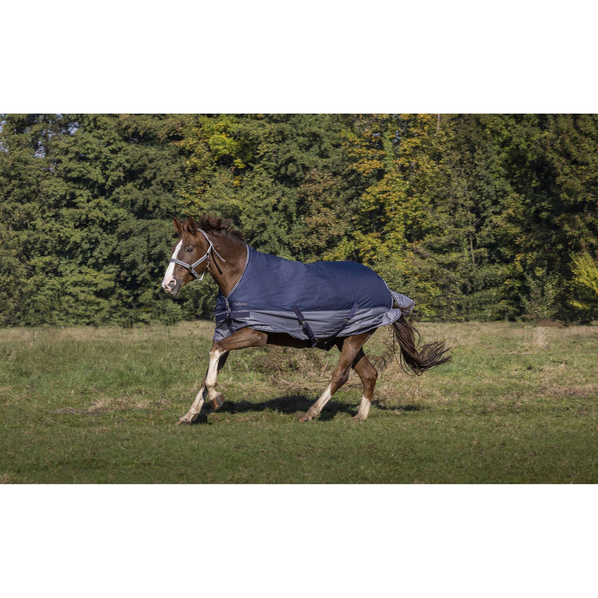 EQUITHÈME Tyrex 600D Turnout rug lined with polar fleece - Standard Navy blue/grey 400913763