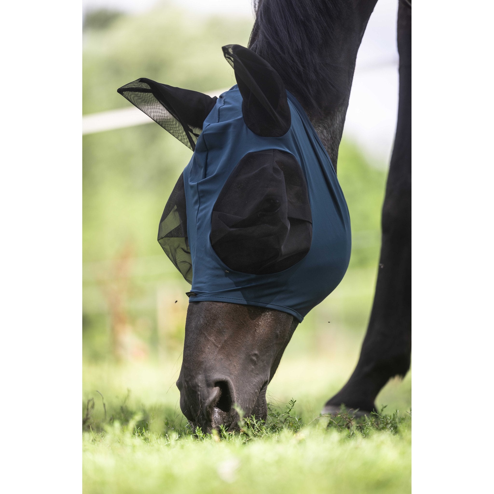 LAMI-CELL Lycra Fly Mask Blue - 306046206_ambi_6