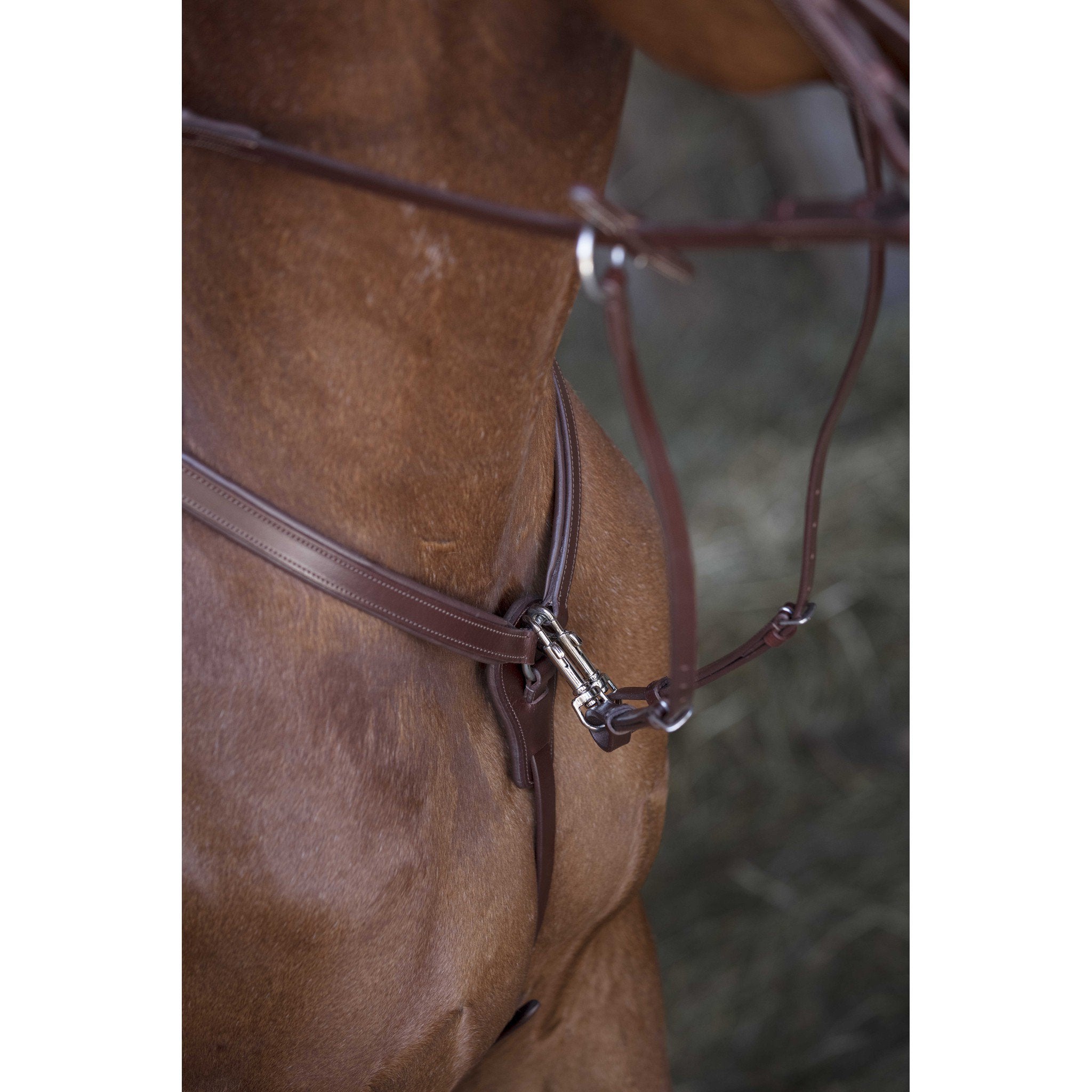 Norton Pro Hunting Breastplate Havana 306589318