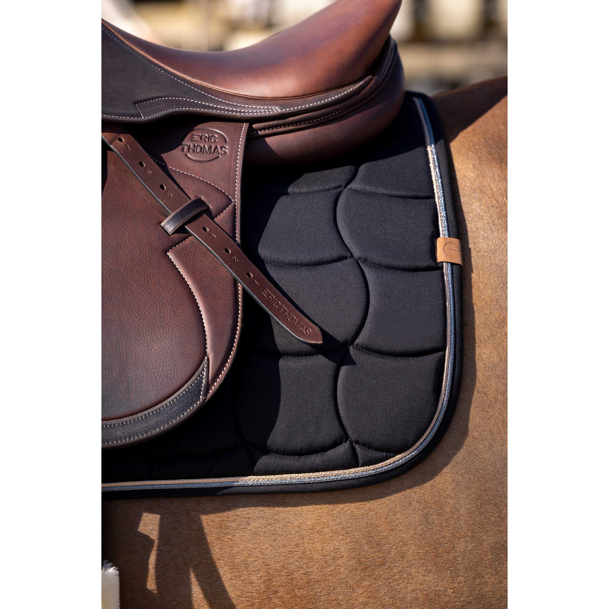 EQUITHÈME Shiny All-Purpose Saddle Pad Black - 204762002_ambi_2