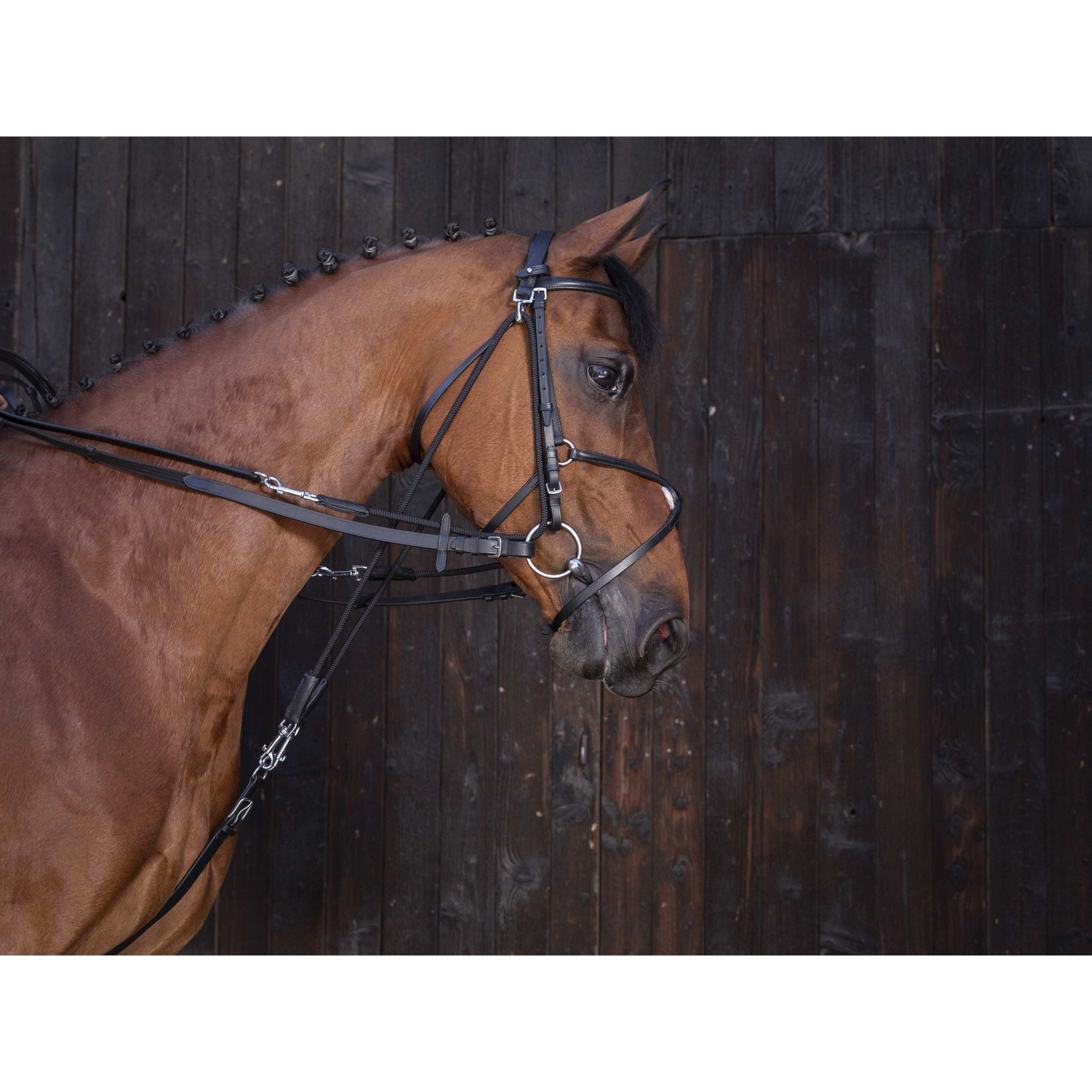 Gogue reins leathers Riding World Black 305081302