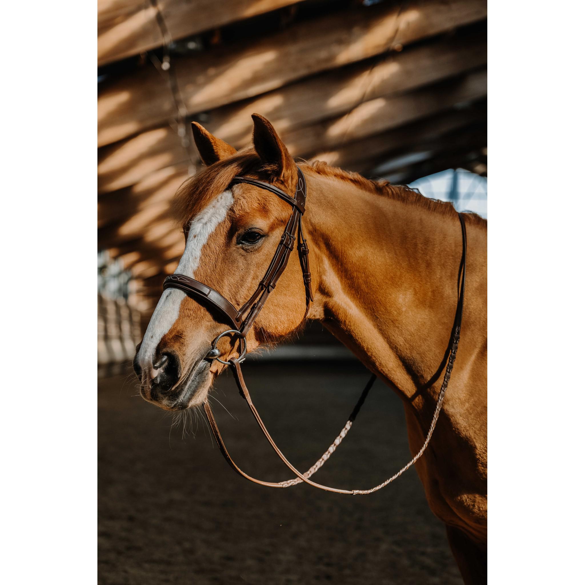 Norton Pro Hunter Fancy Bridle Havana 301817318