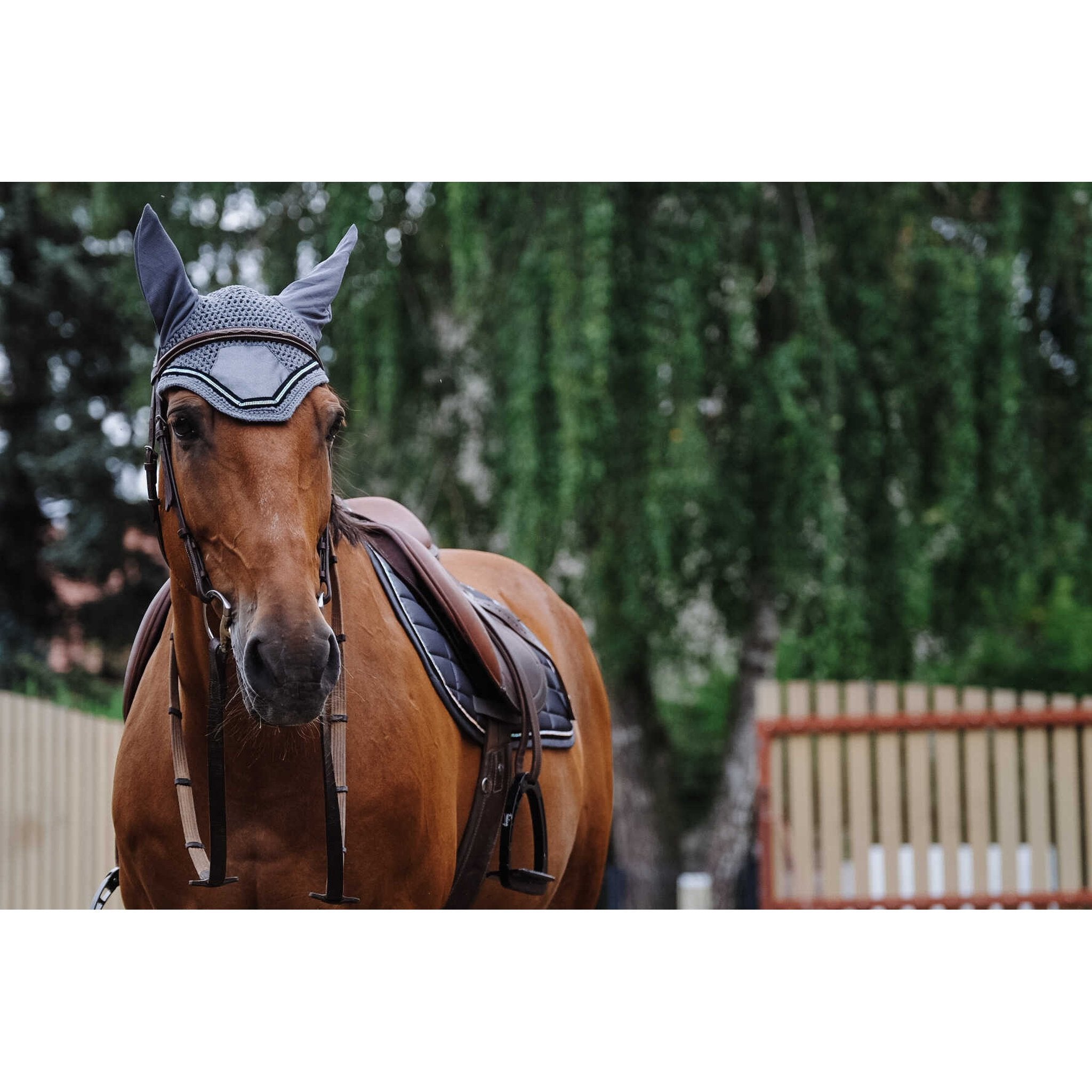 EQUITHÈME Domino Fly Veil Grey - 306975011_ambi_4