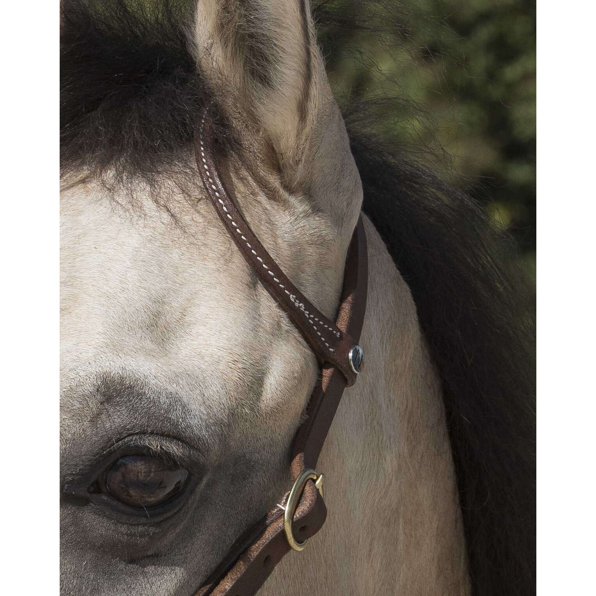 Westride one ear Bridle by Franck Perret Chocolate 802064318