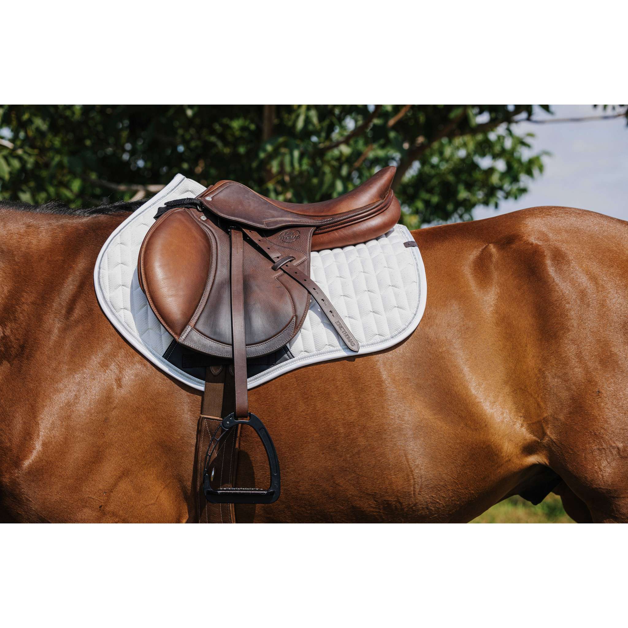 EQUITHÈME Éclat Saddle Pad - All purpose White 204008001