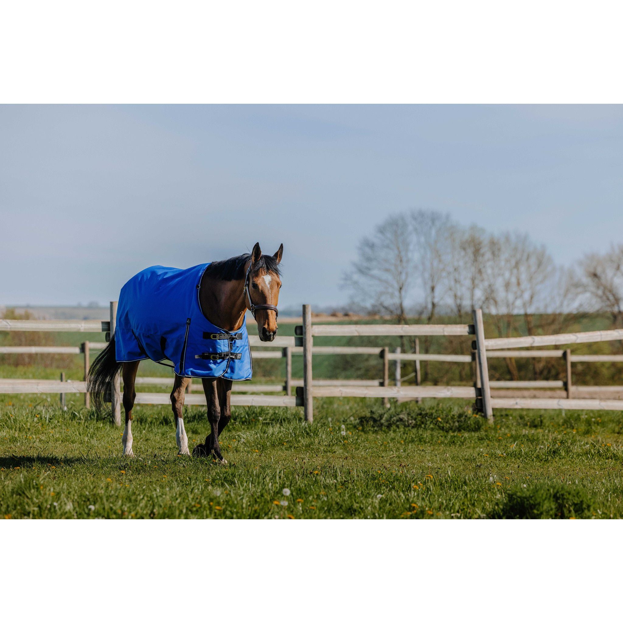 EQUITHÈME Tyrex1200D Aisance Rug - Standard Royal blue 400940463