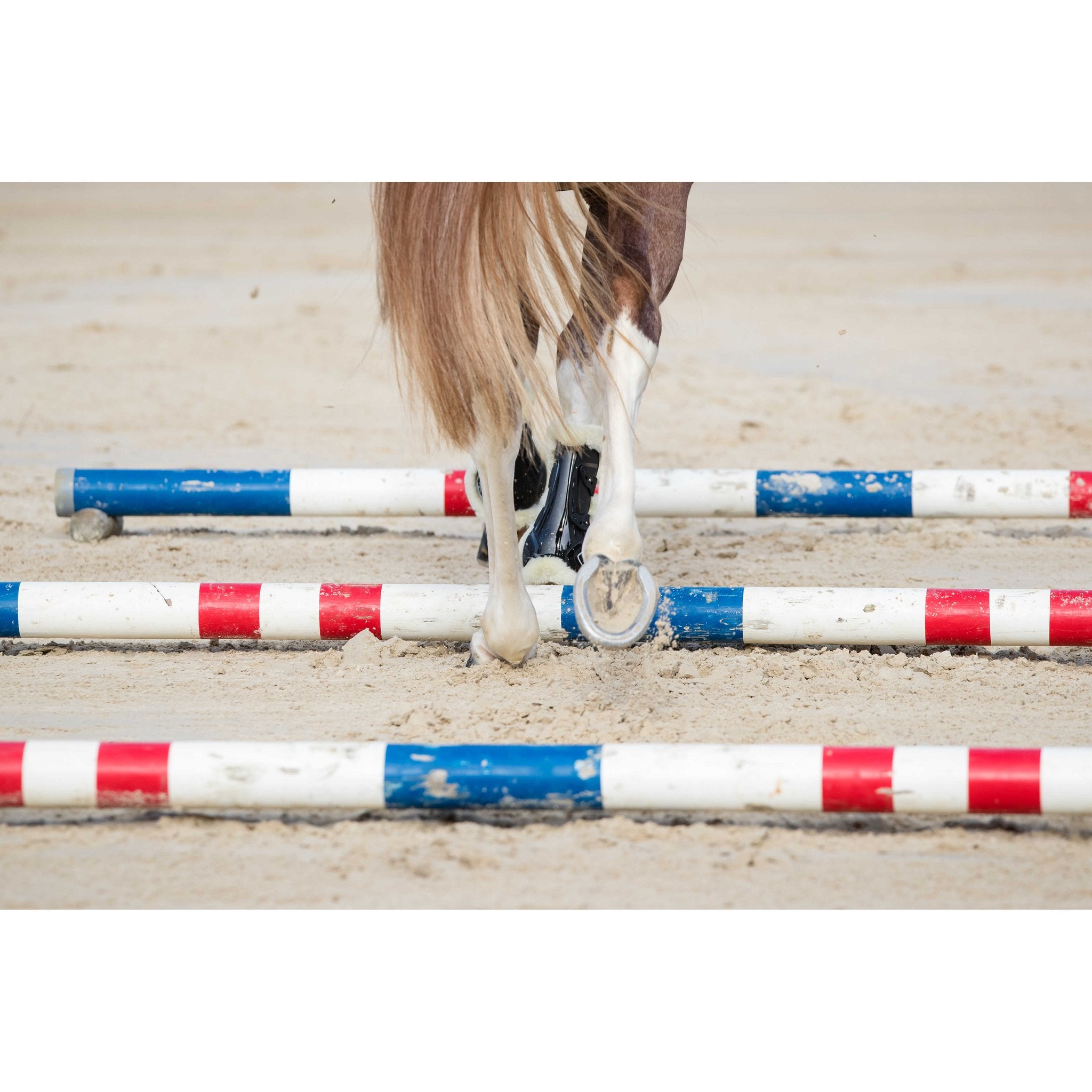 Norton XTR Sheepskin Tendon Boots with Buttons - Navy blue - 530672073_ambi_103