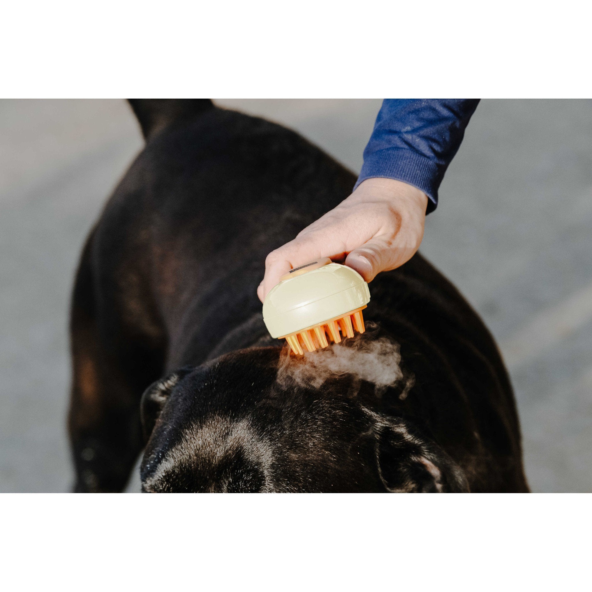 Hippo-Tonic Steam Curry Comb Beige 700066005