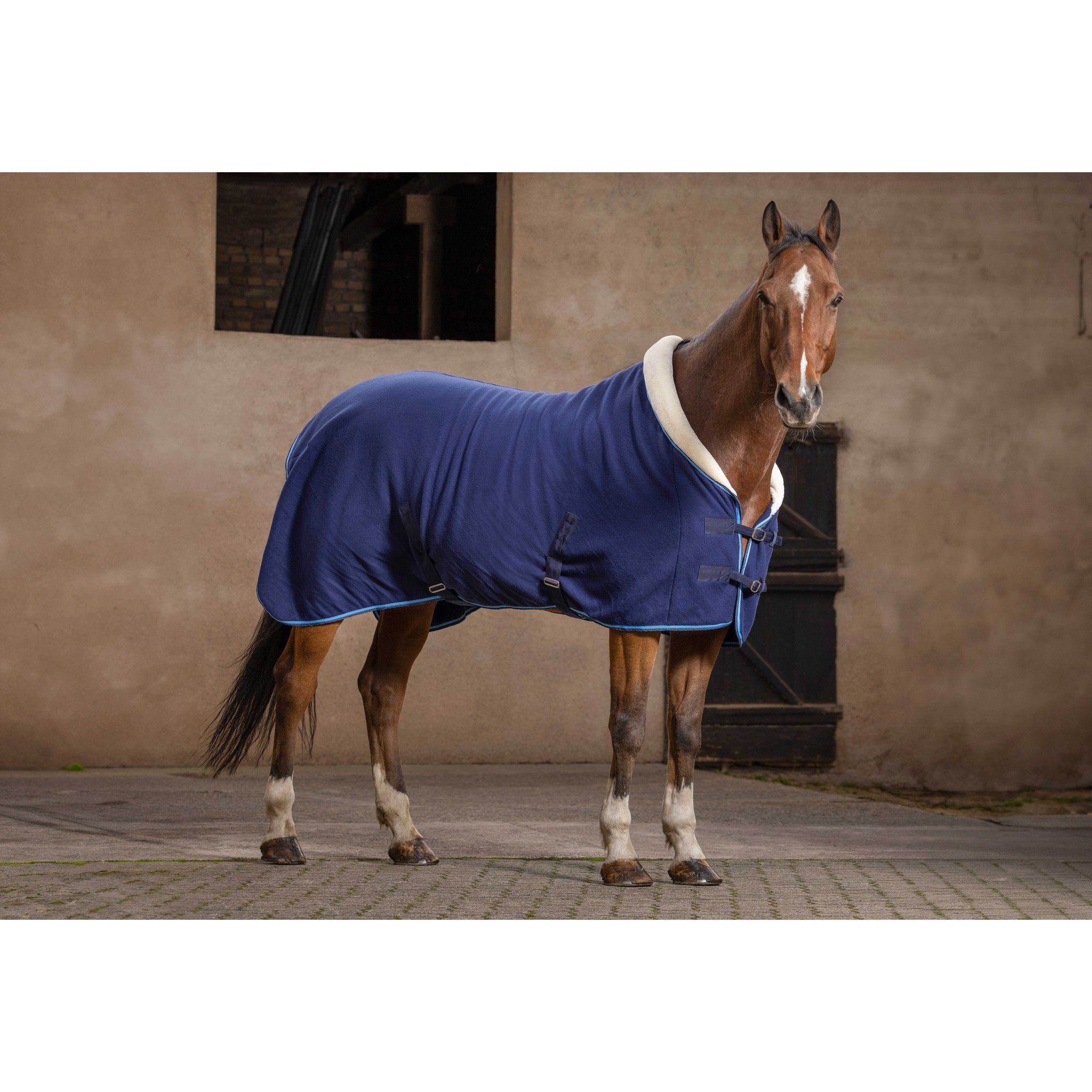 Riding World Confort Sheet Navy blue 400042763
