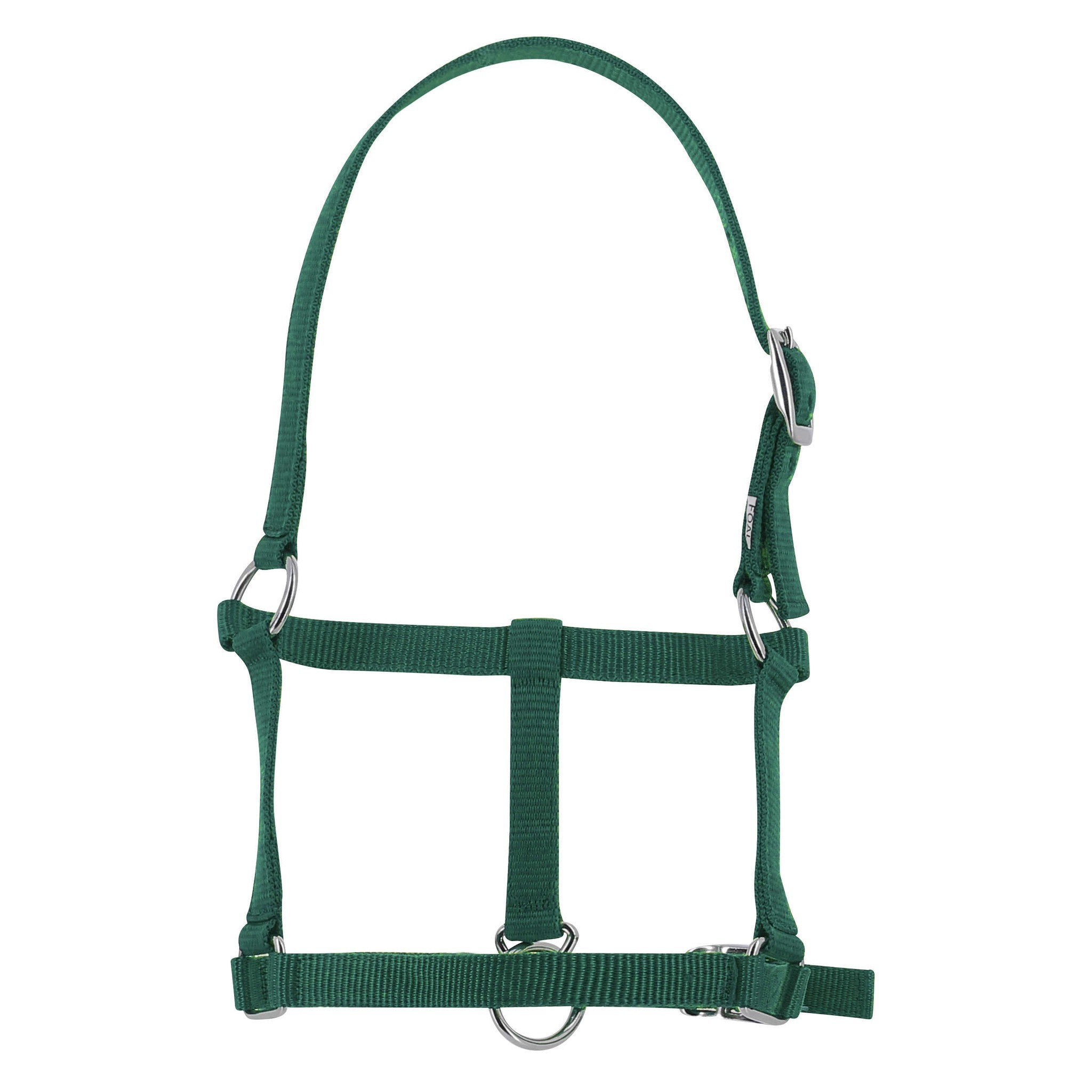 Riding World Foal Halter Dark green 510241009