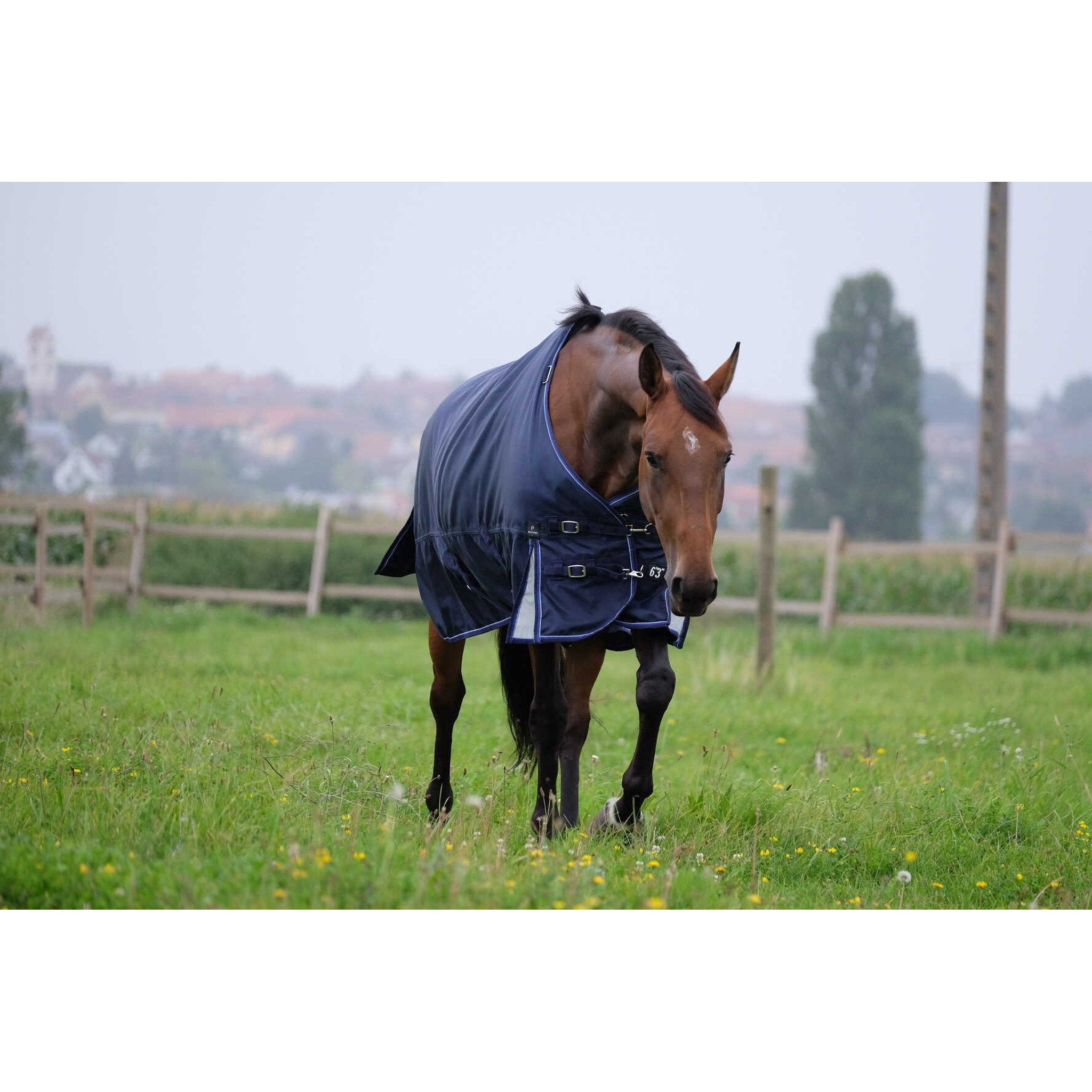 EQUITHÈME Tyrex 1680D Turnout rug - Detach a Neck Navy blue 400767063