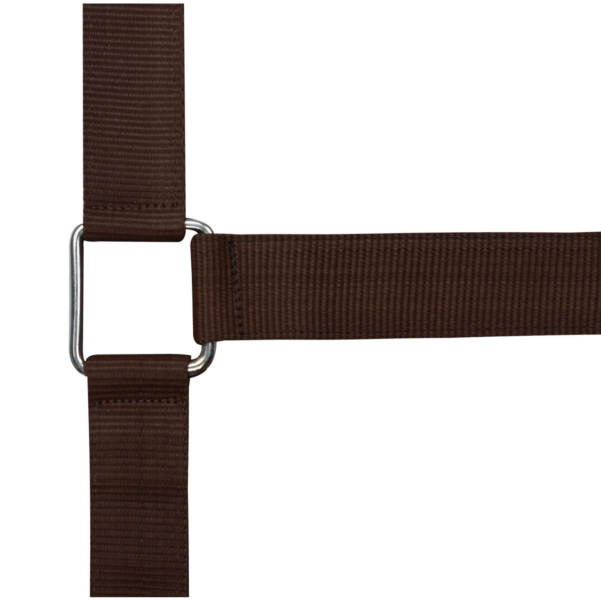Draught horse nylon headcollar NORTON Brown 510193004