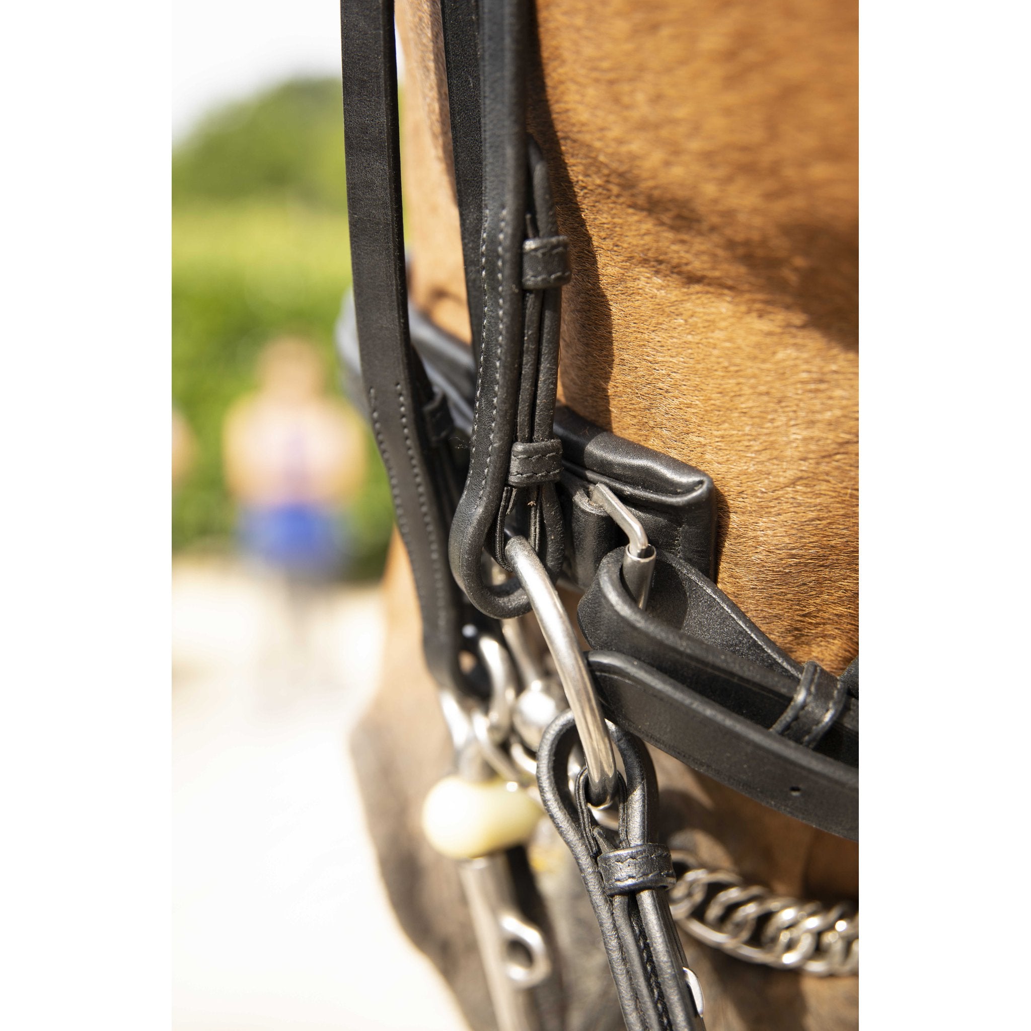 Penelope Point Sellier Bridle Black - 303100202_ambi_2