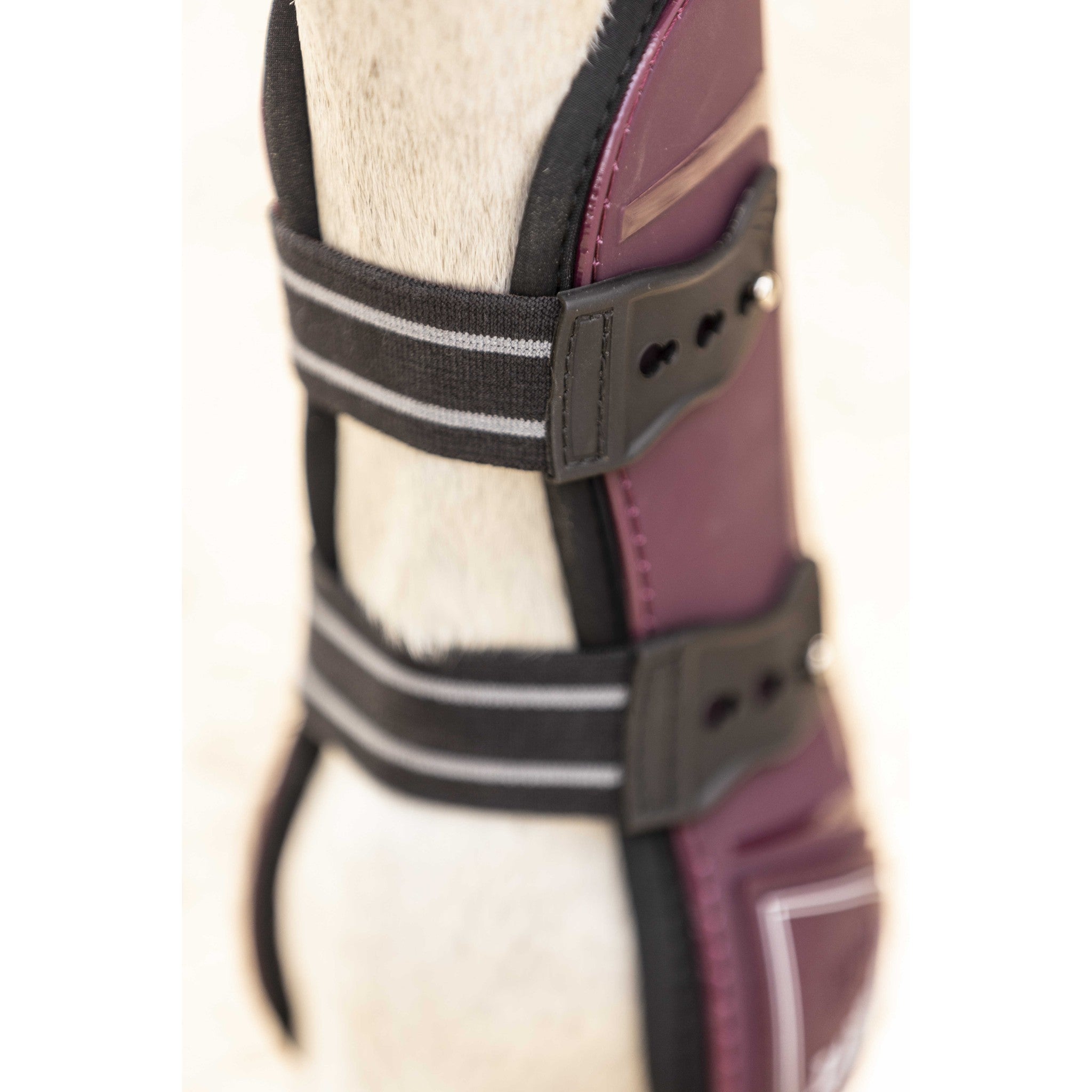 Lami-Cell Elite Fetlock and Tendon Boots Burgundy 550141333