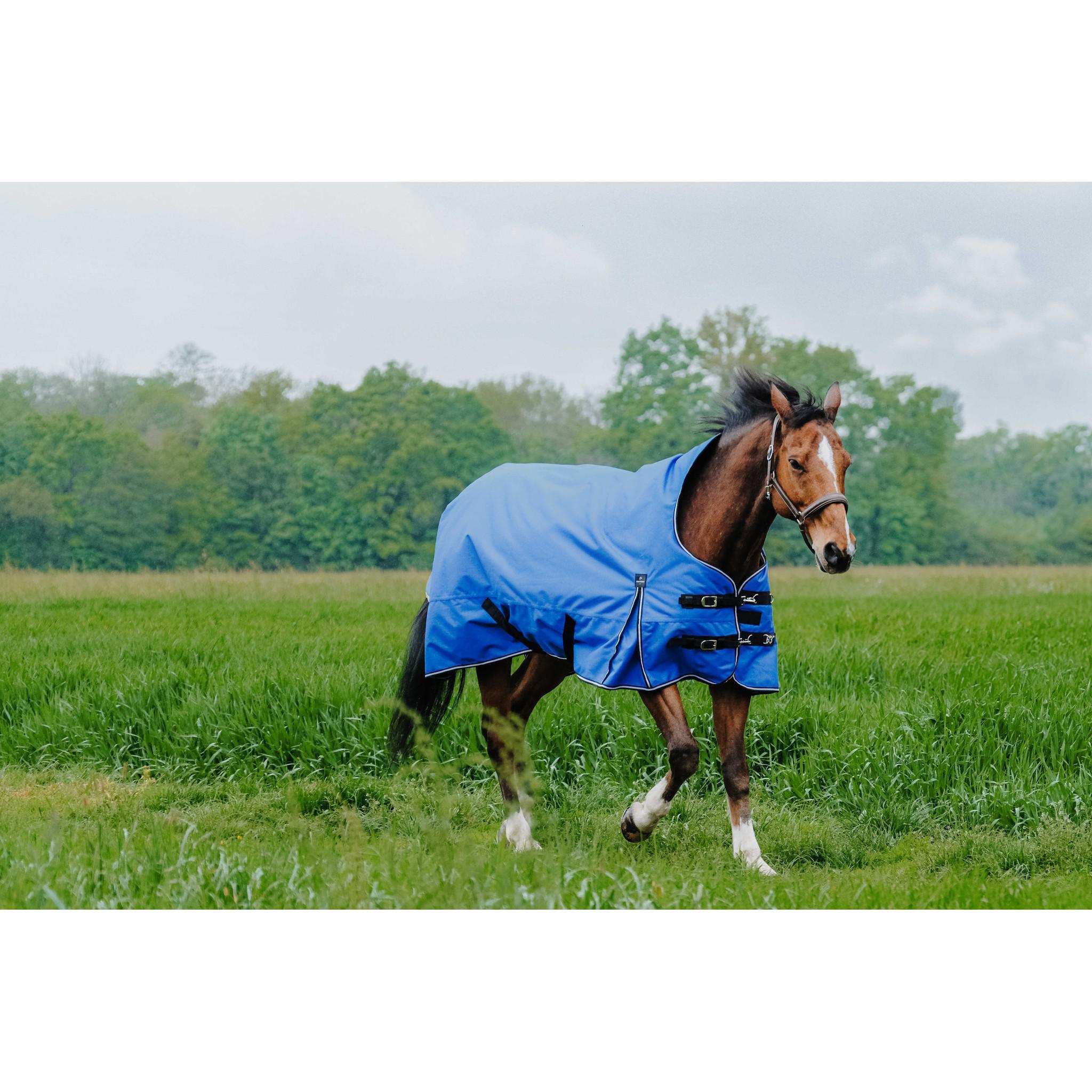 EQUITHÈME Tyrex 1200D Aisance rug - High Neck Royal blue 400966463